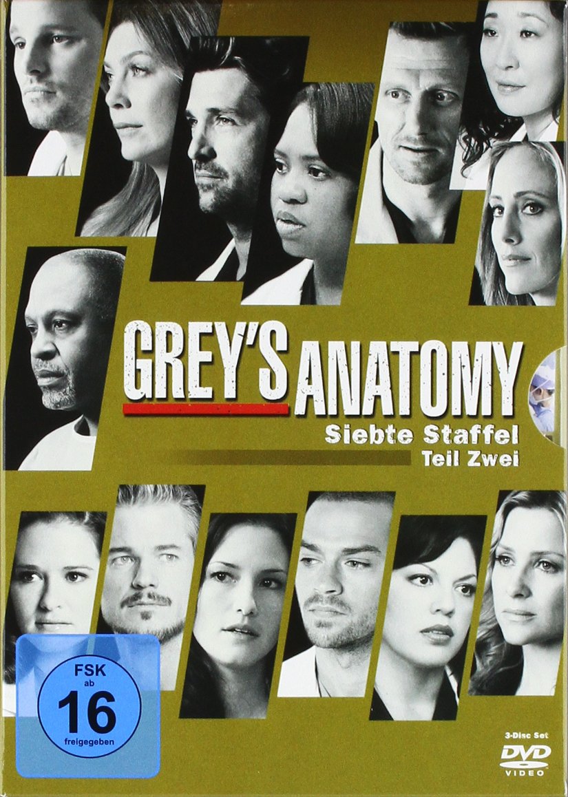 Grey's Anatomy - Staffel 7.2 Box sets