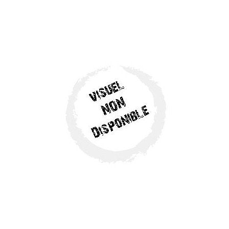 Le Roi Lion 2-l'Honneur de la Tribu dvd