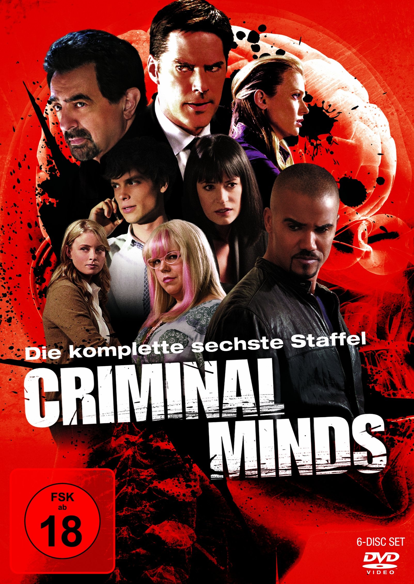 Criminal Minds - Die komplette sechste Staffel Box sets