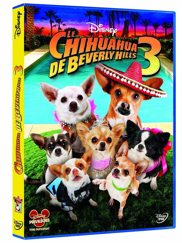 Le chihuahua de beverly hills 3 Films
