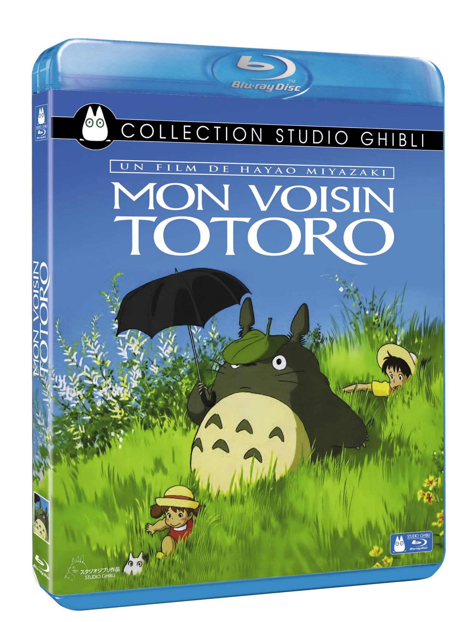 Mon voisin totoro Films