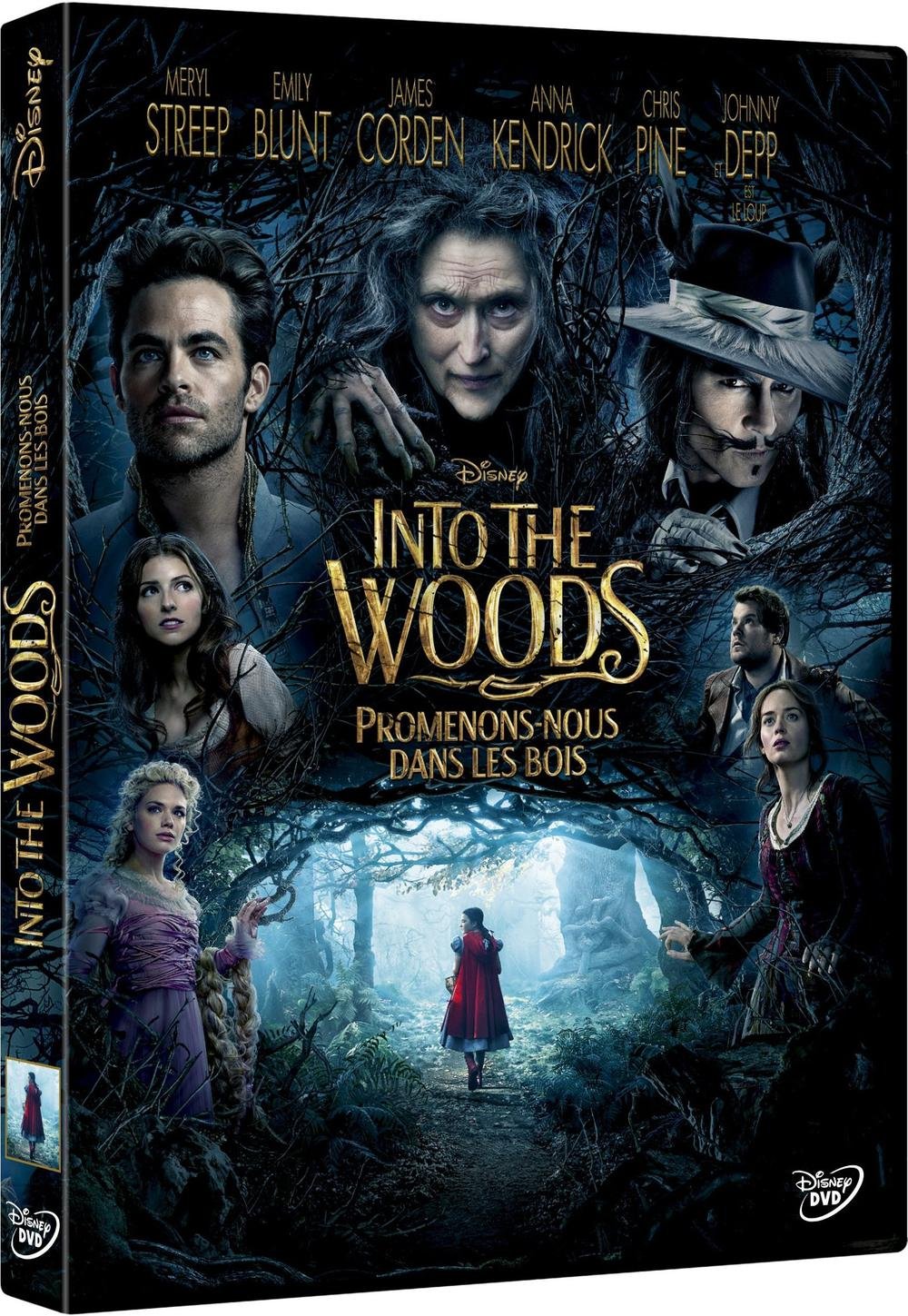 Into The Woods, Promenons-nous Dans Les Bois Films