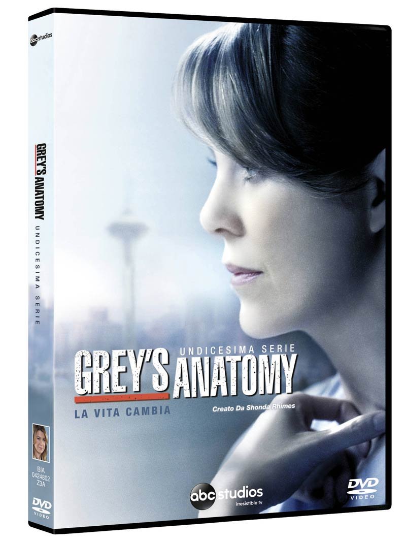 Grey's Anatomy Stg.11 (Box 6 DVD) Box sets