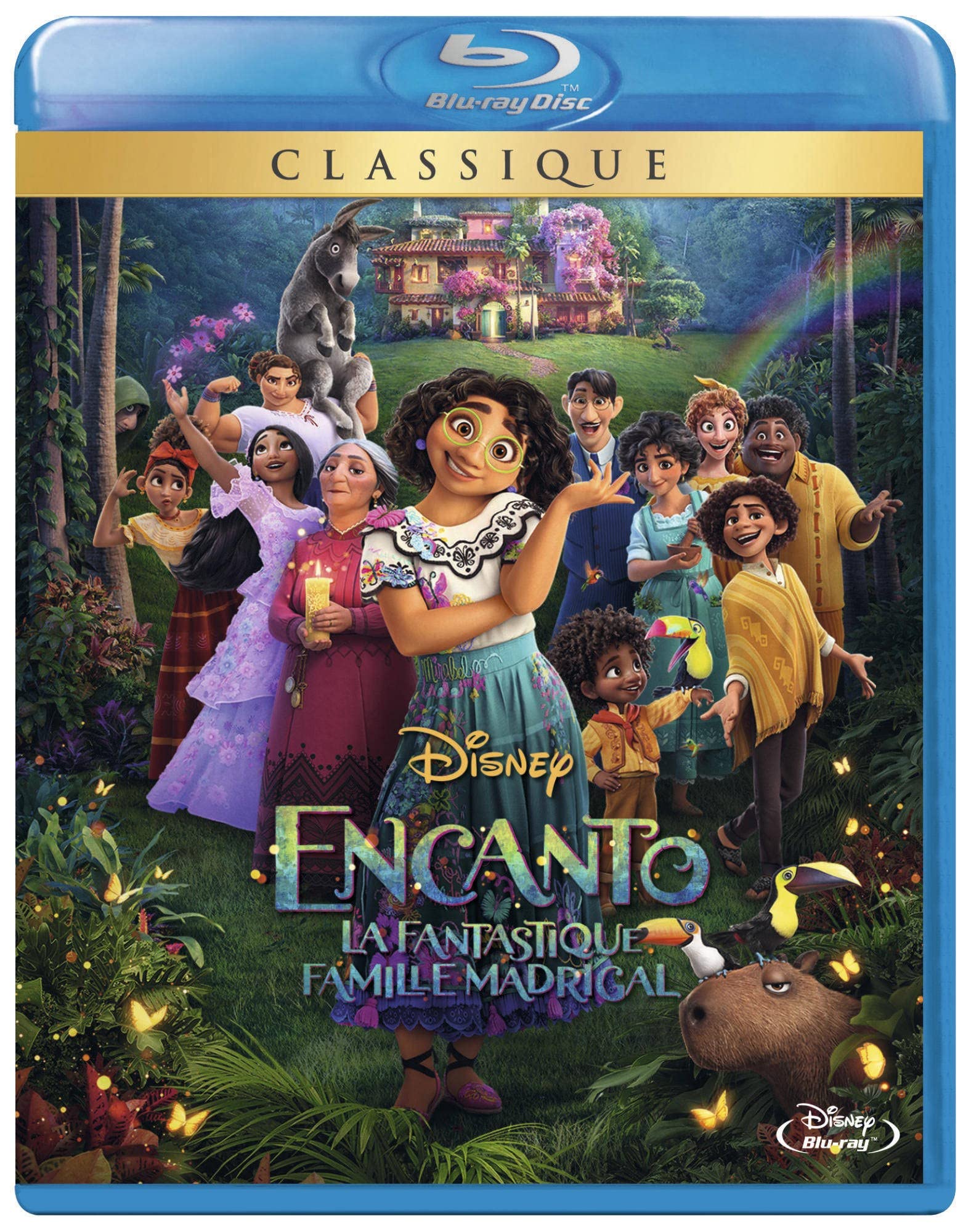 Encanto : la fantastique famille madrigal Films