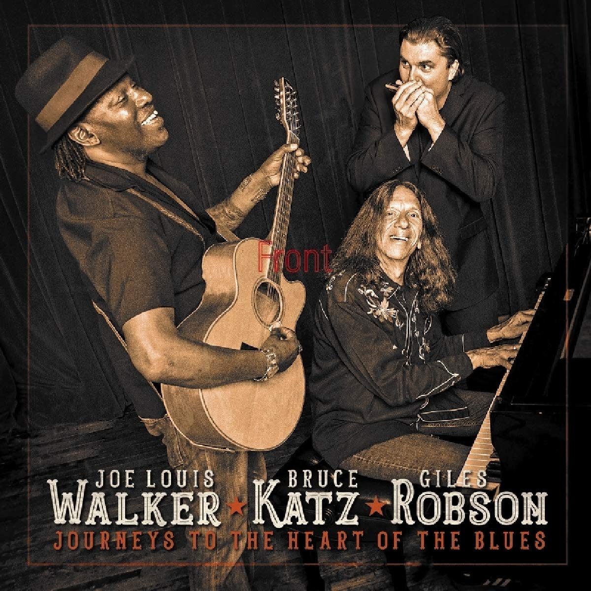 Journeys to the Heart of Blues Blues
