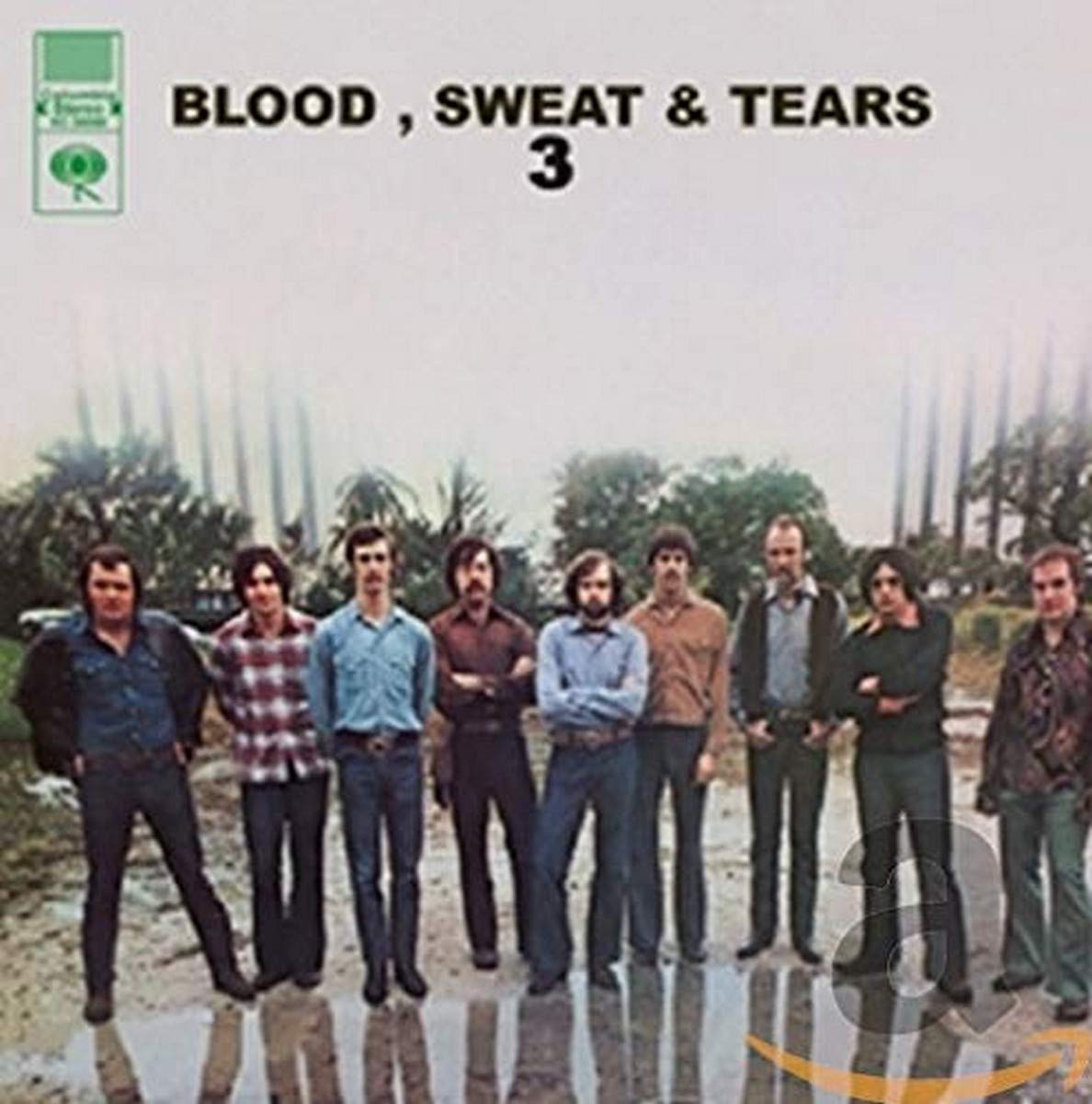 Blood,Sweat & Tears 3 Rock