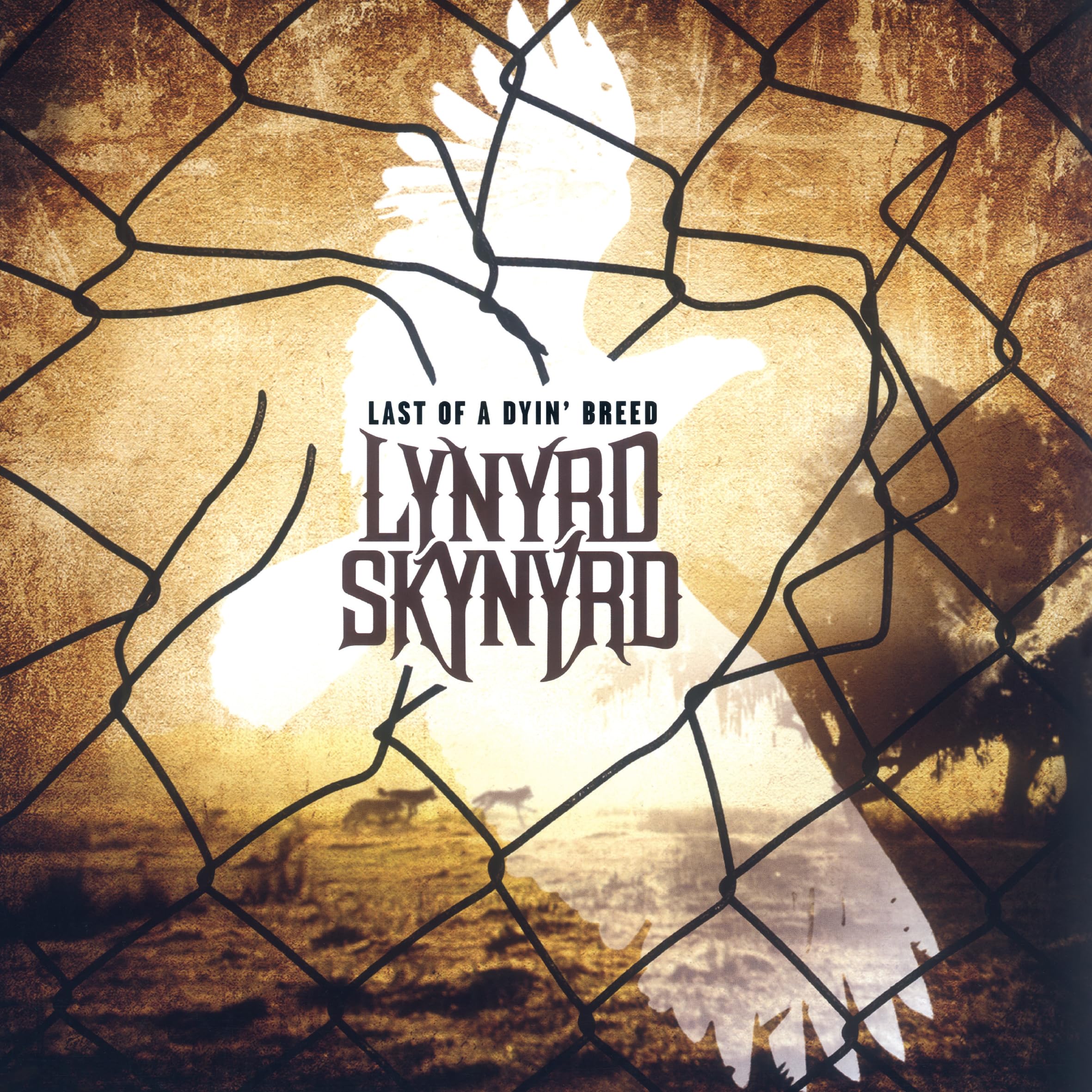 Last of a Dyin' Breed Rock