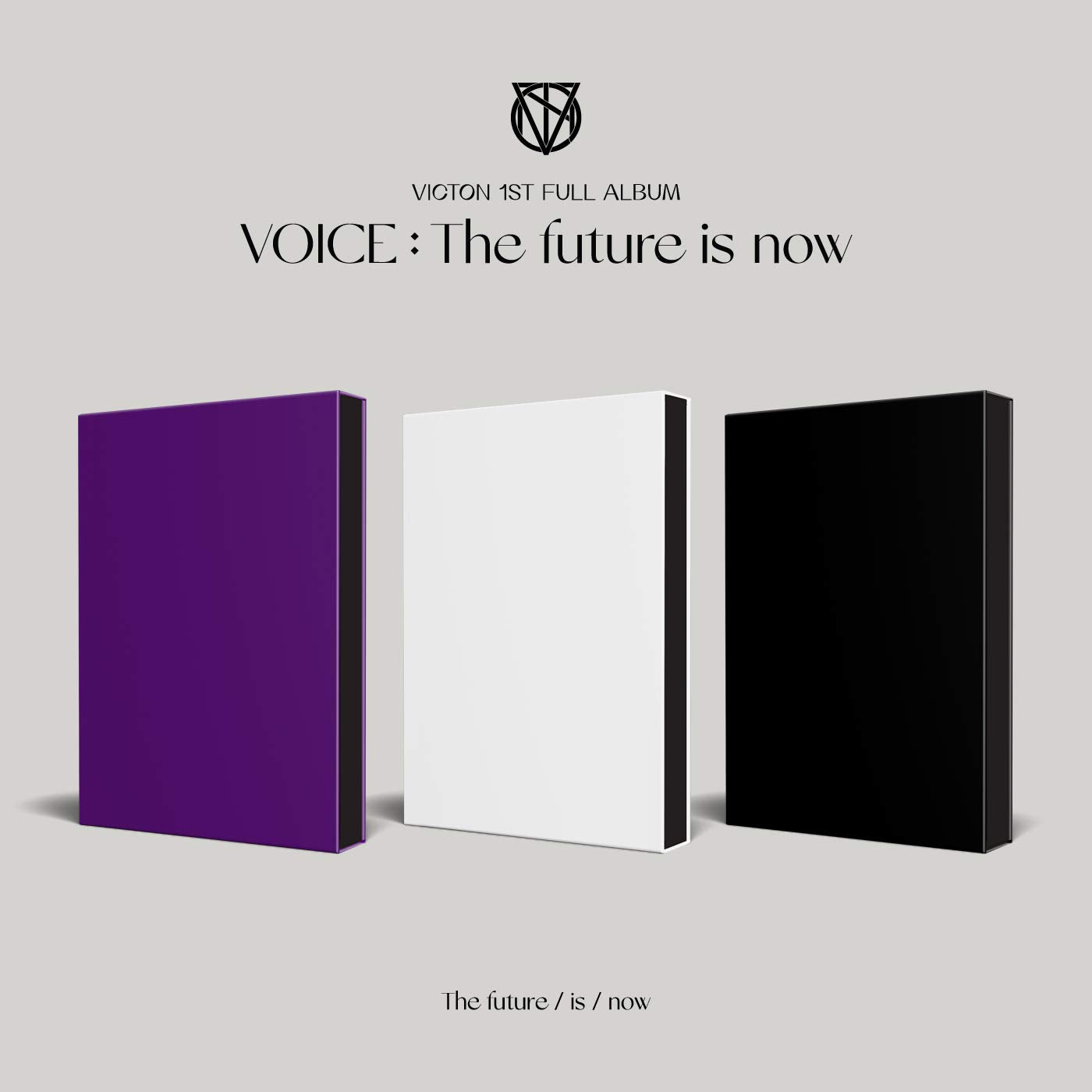 Voice: the Future Is Now-Inkl.Photobook Pop