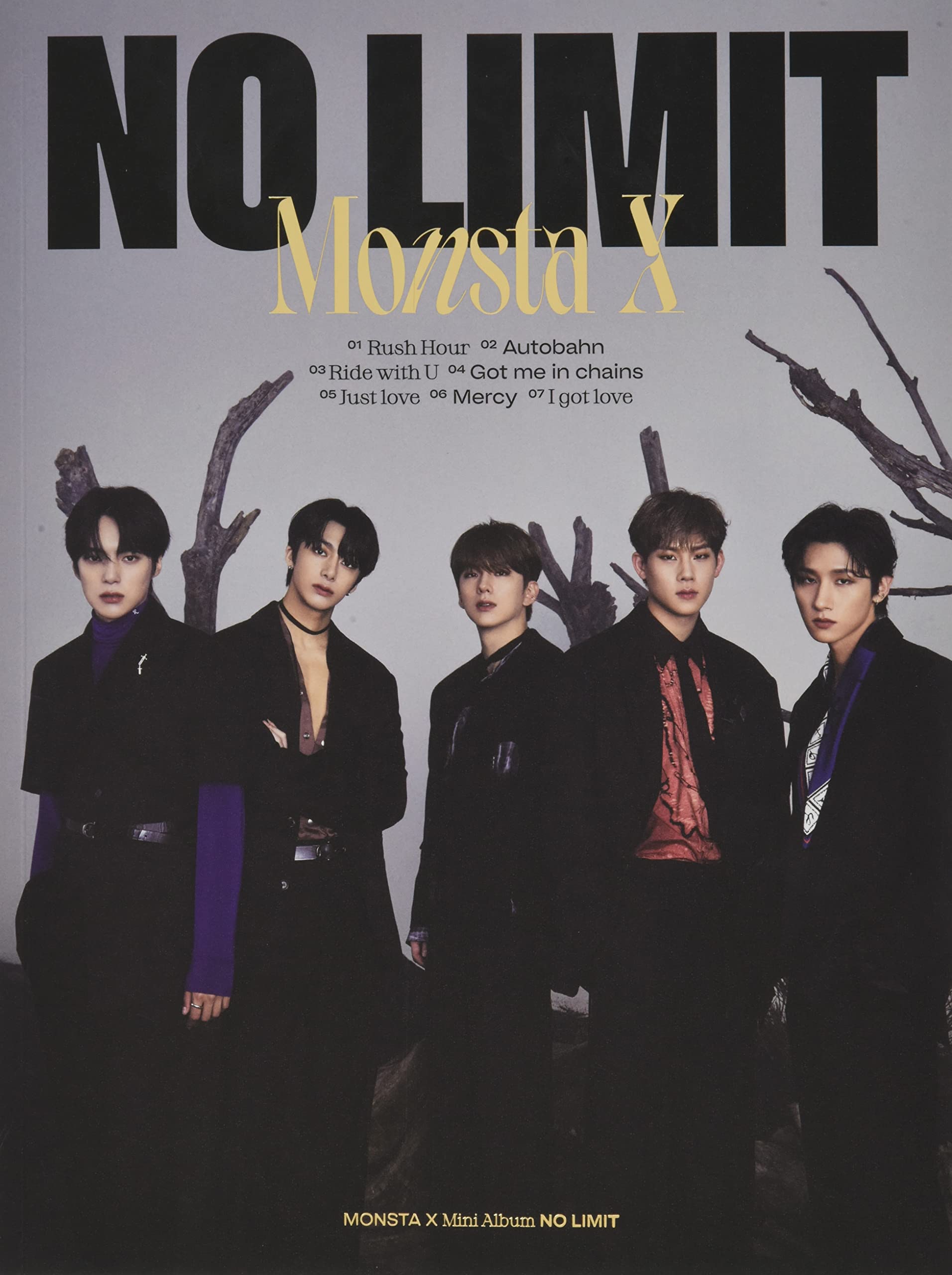 No Limit-Limited Edition-Inkl.Photobook Pop
