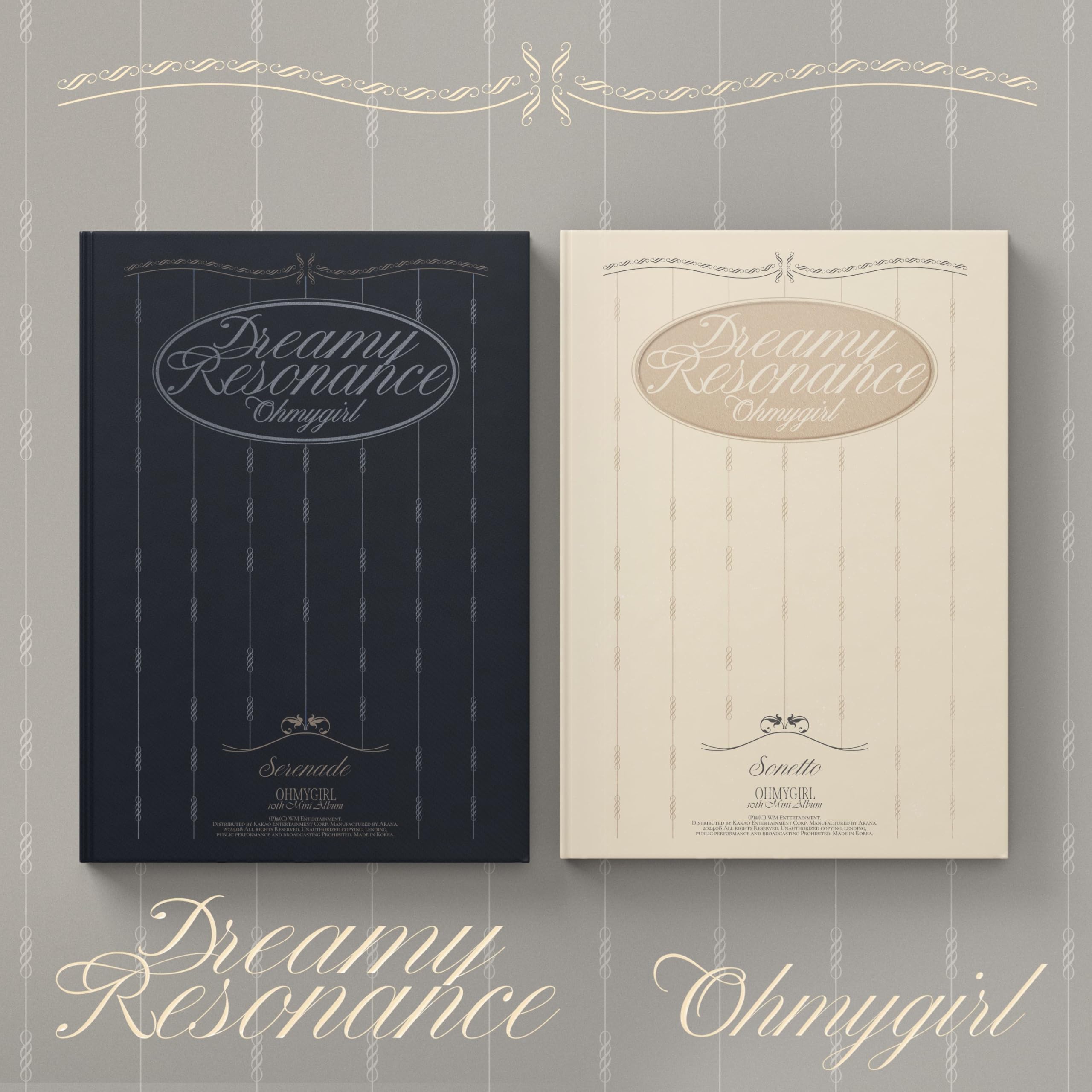 Dreamy Resonance - Inkl. Photobook Music