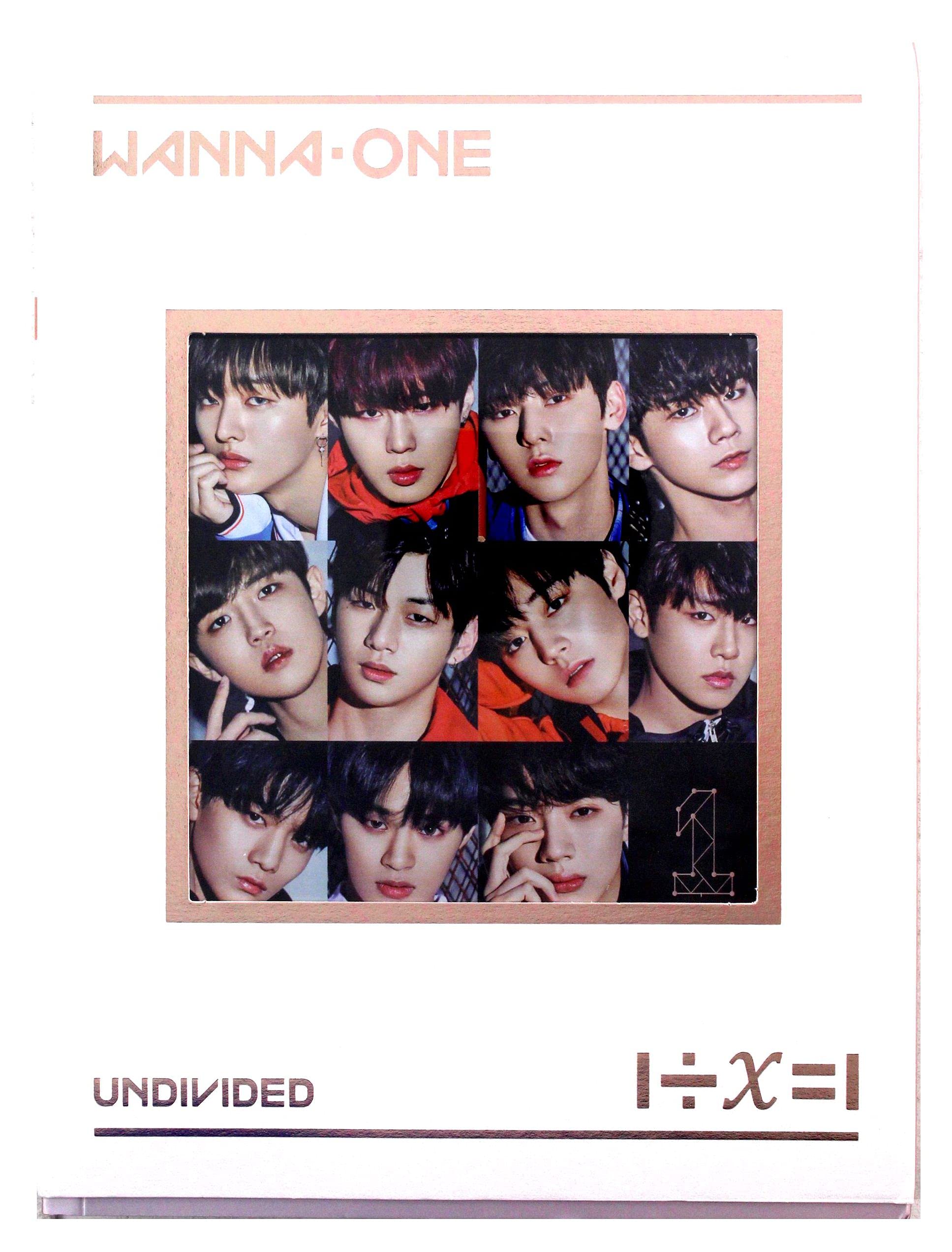1/X=1 (Undivied)-Inkl.Photobook Pop