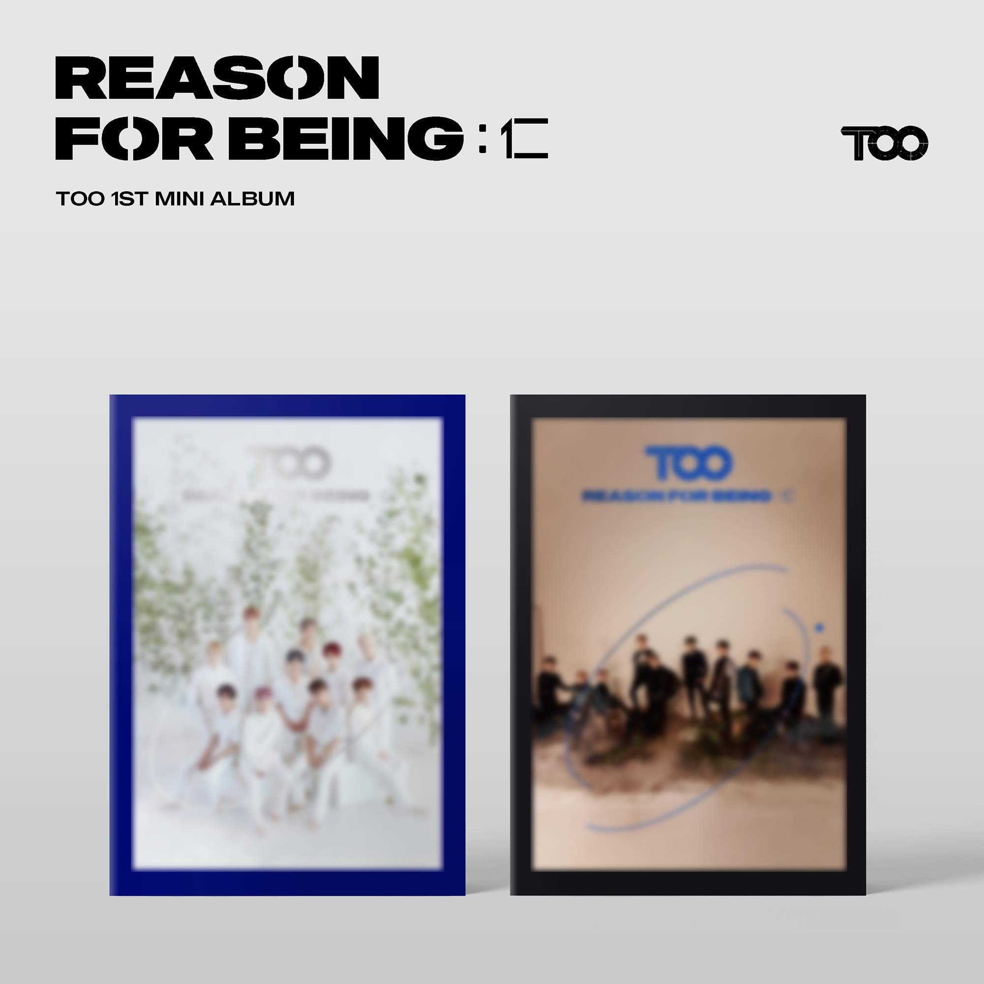 Reason for Being Pop