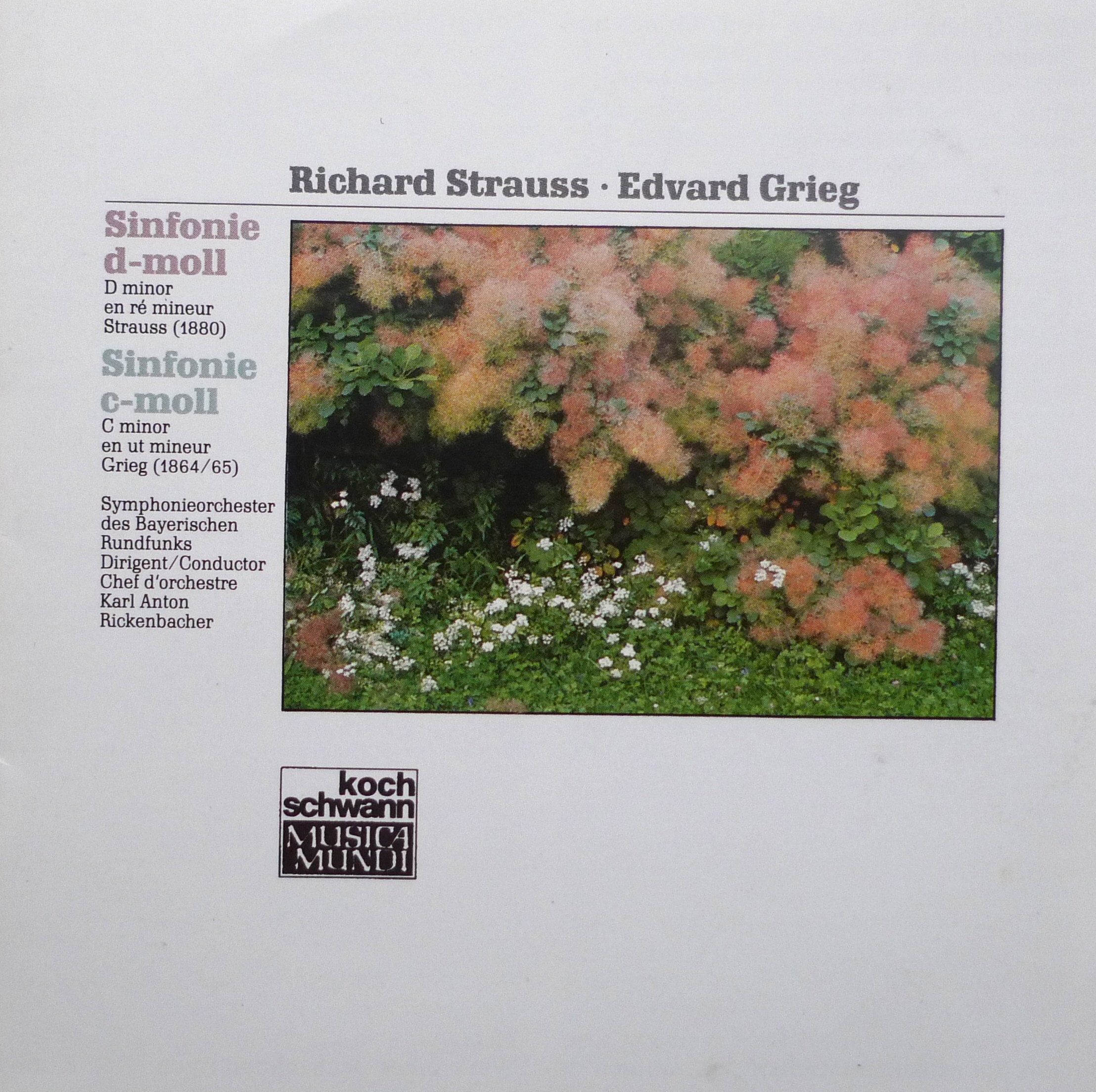 R. Strauss: Sinfonie d-moll / Grieg: Sinfonie c-moll Classical