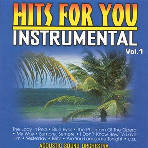 Hits for You Vol.1 Other music genres