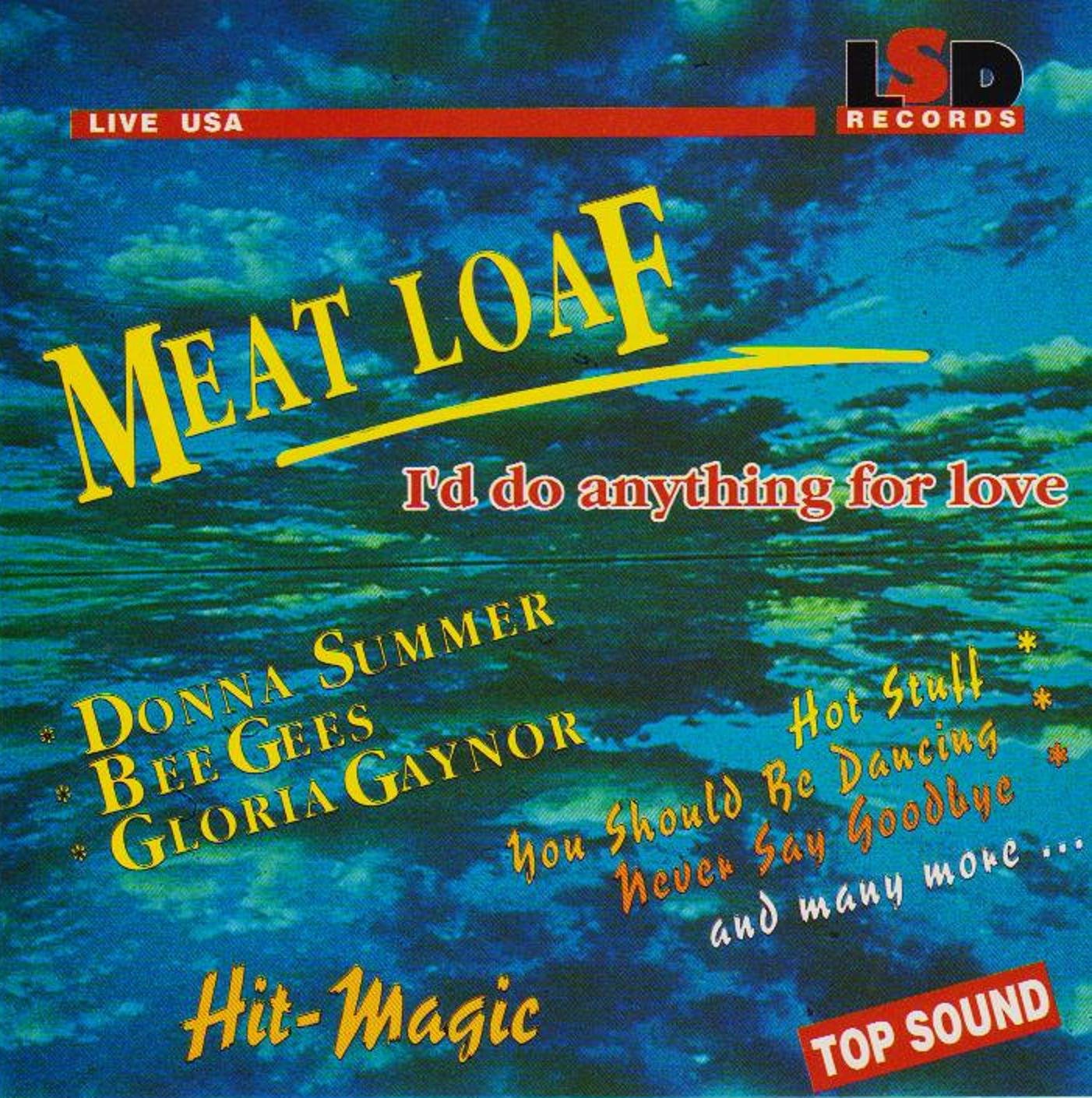 I'd do anything for love (Hit-Magic) - Live in USA Music