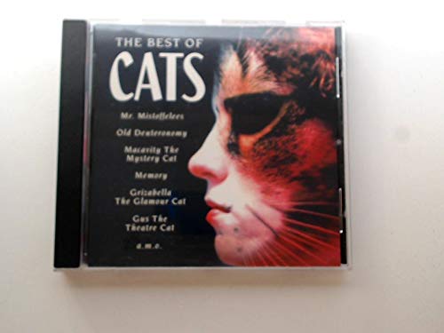 Cats Music