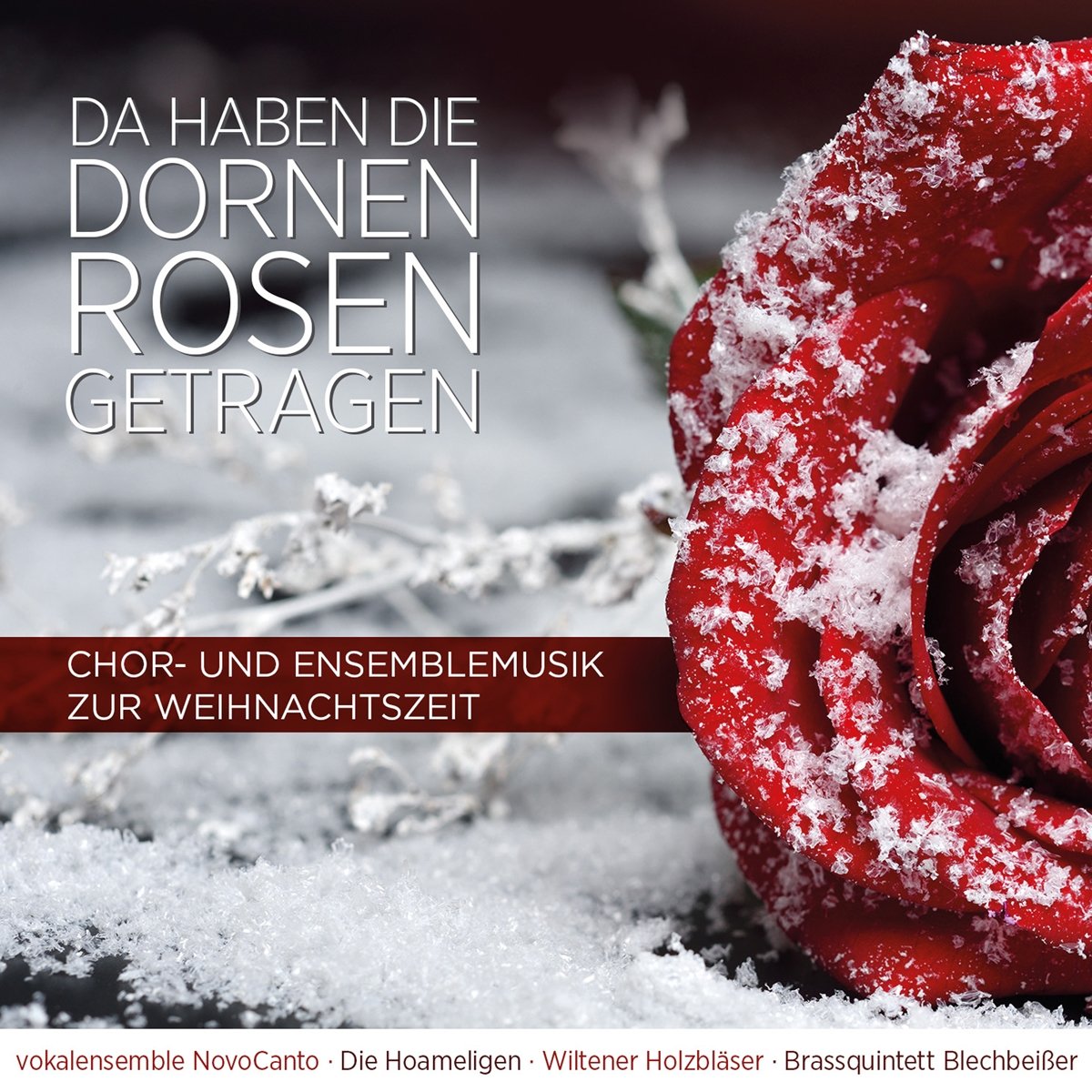 Da haben die Dornen Rosen getragen Music for Children