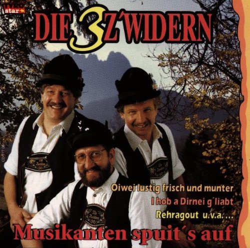 Musikanten Spuit'S auf Other music genres