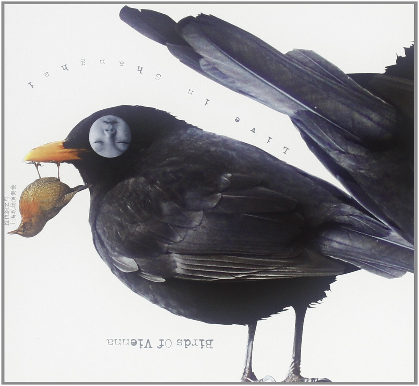 Jasbar/Lackner/Gratzl - Birds Of Vienna Music