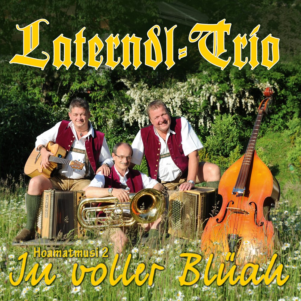In voller Blüah (Hoamatmusi 2) Music for Children