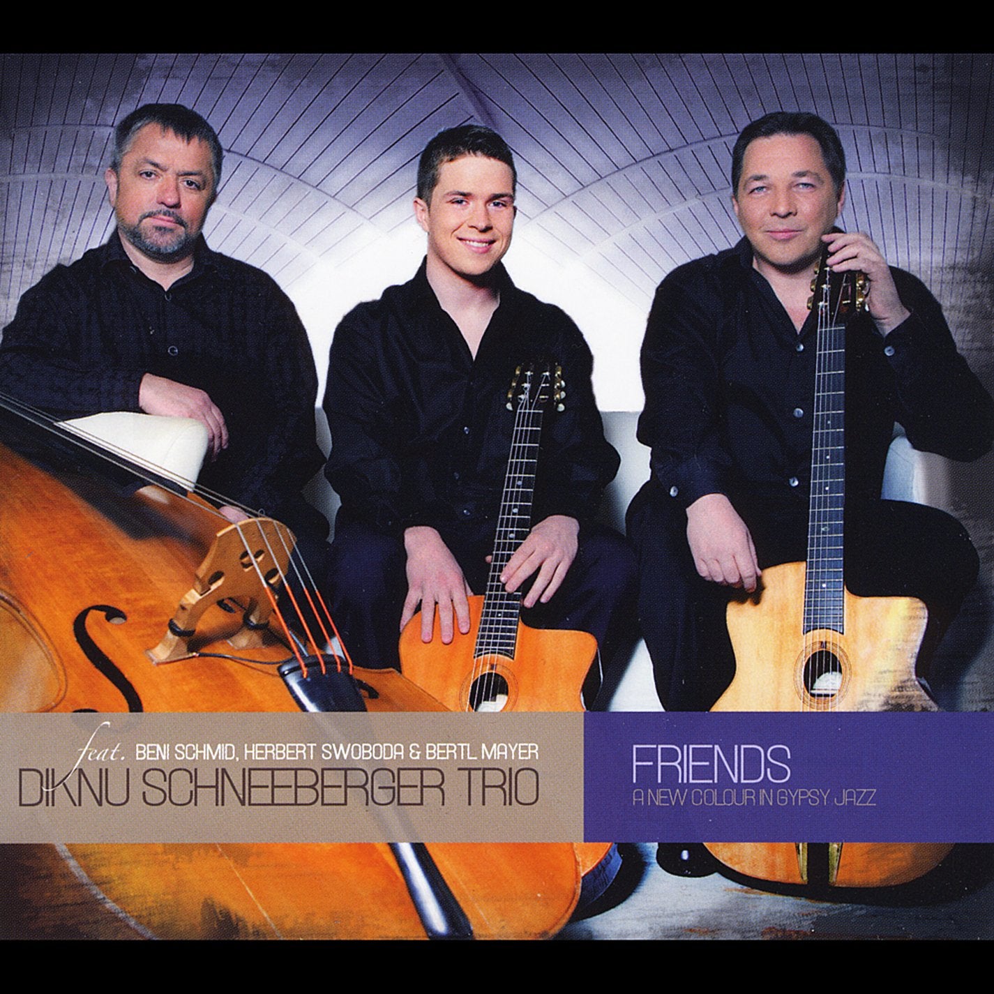 Friends-a New Colour in Gypsy Jazz Jazz