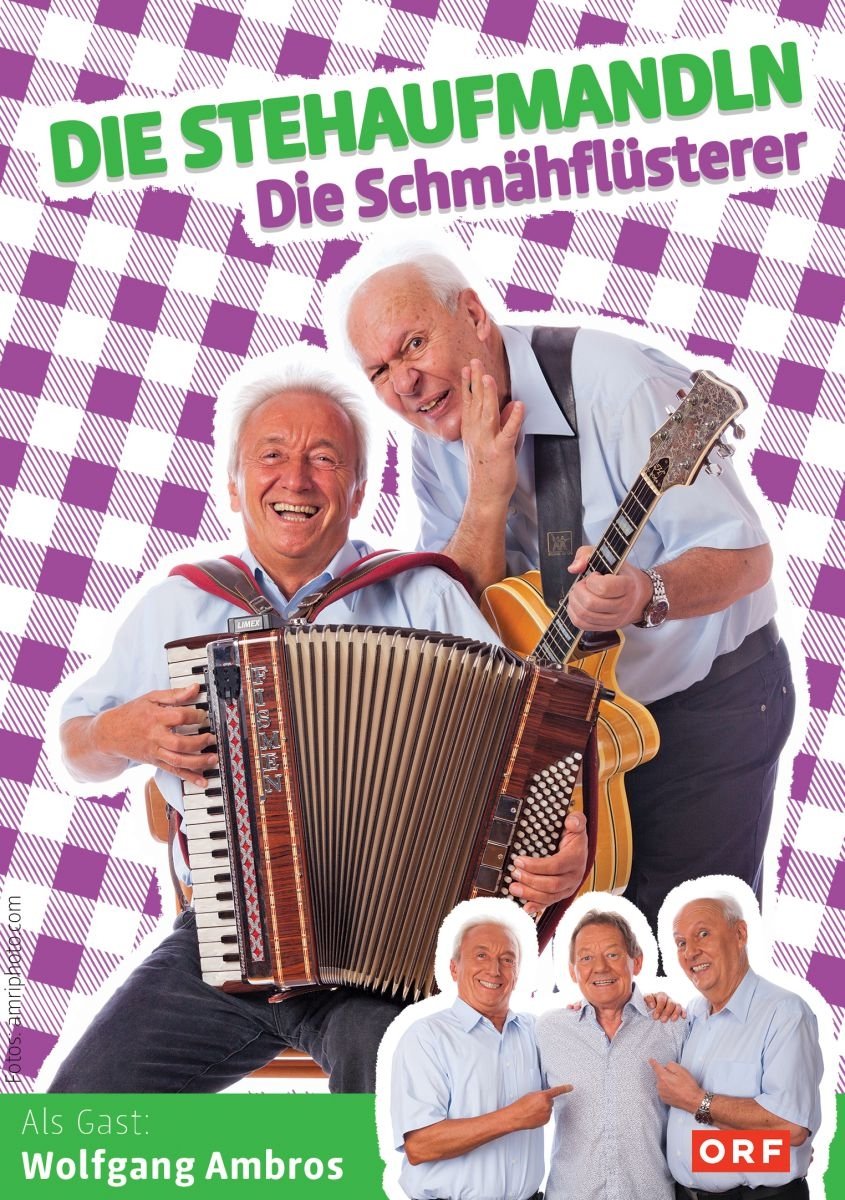 Die Stehaufmandln: Die Schmähflüsterer dvd