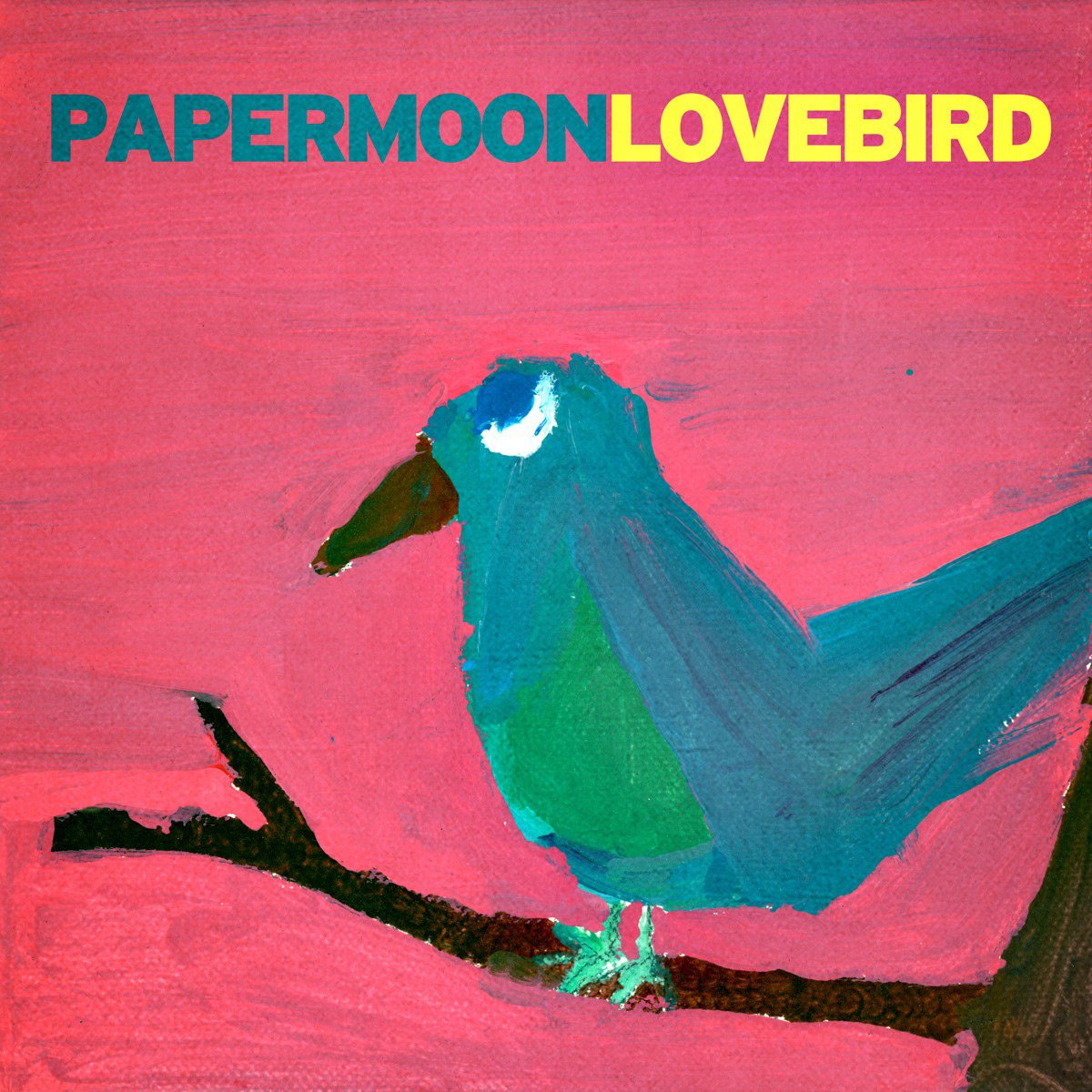 Lovebird Pop