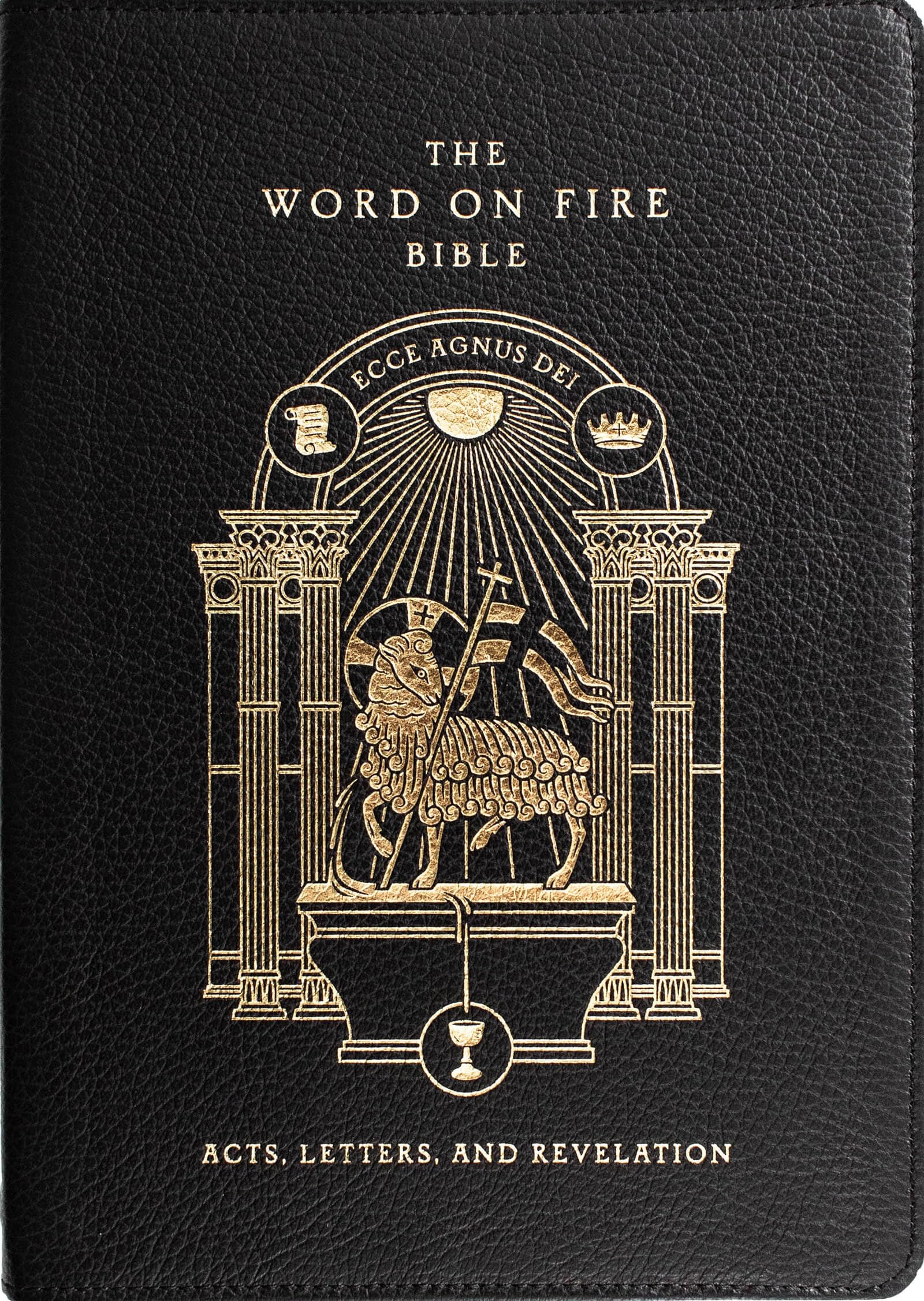 The Word on Fire Bible: Acts, Letters, and Revelation Volume 2 Religion & Esotericism