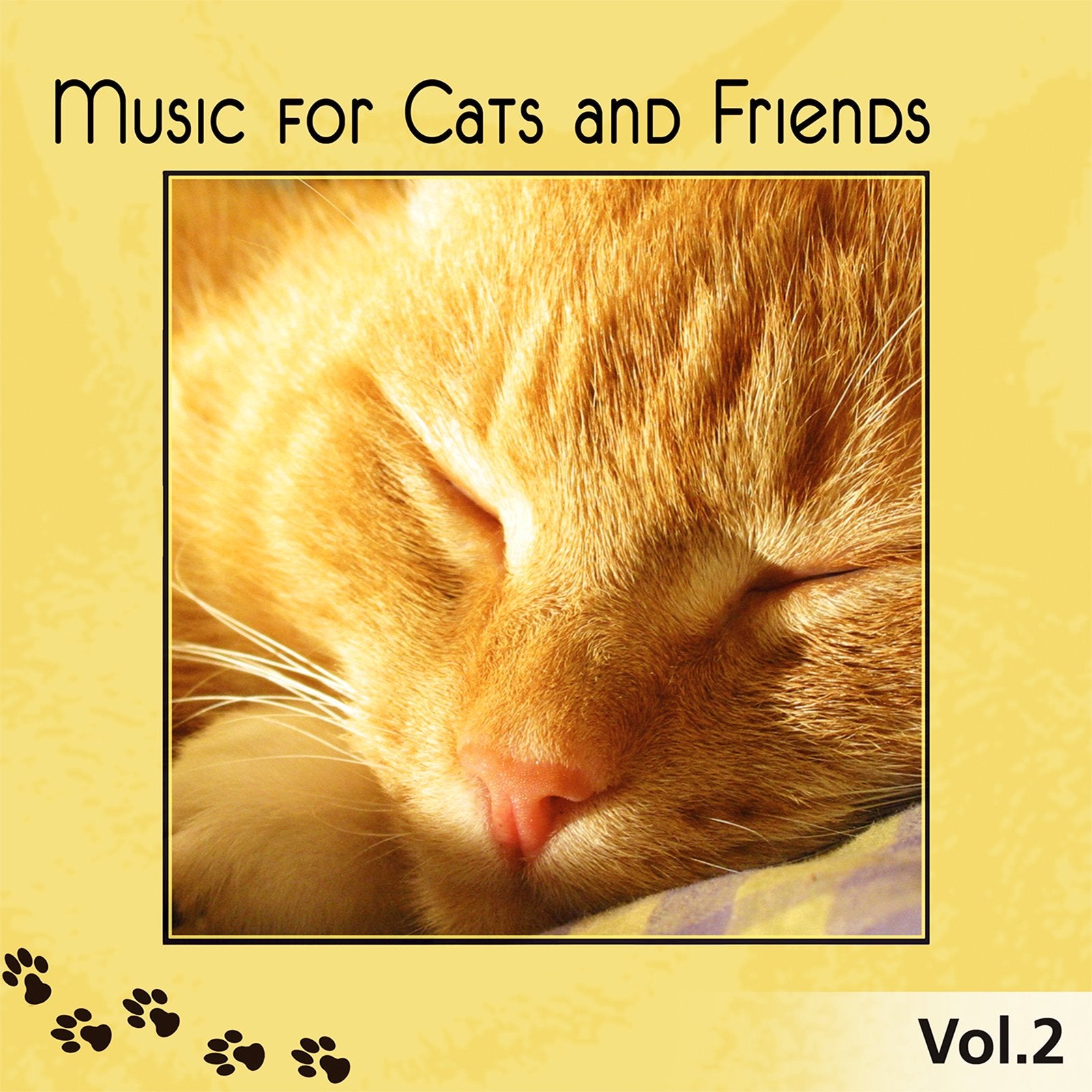 Music For Cats And Friends Vol. 2 Pop