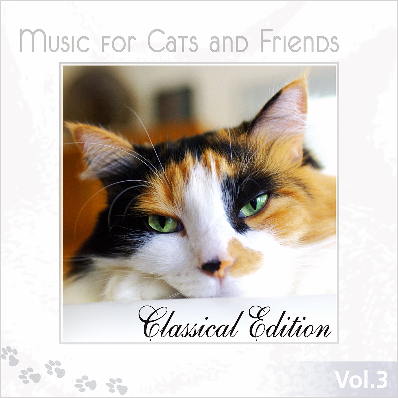 Music For Cats And Friends Vol. 3 Pop