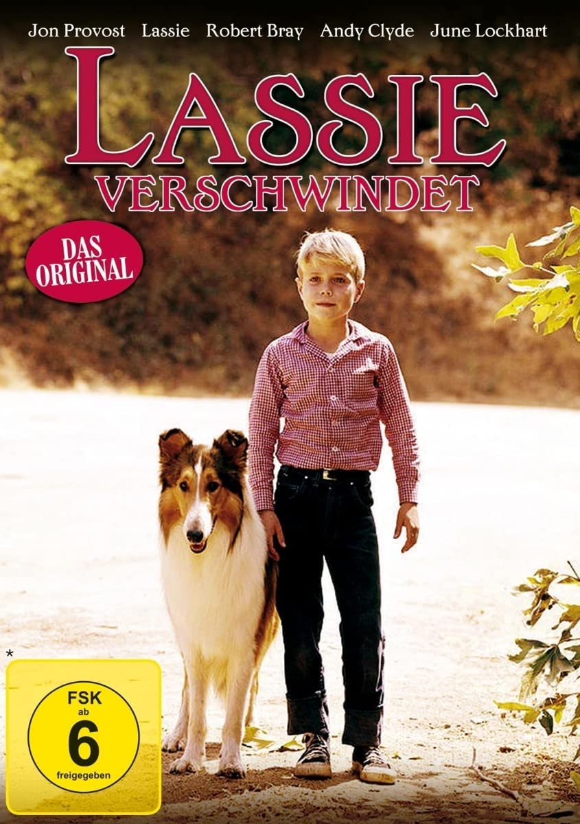 Lassie verschwindet Films