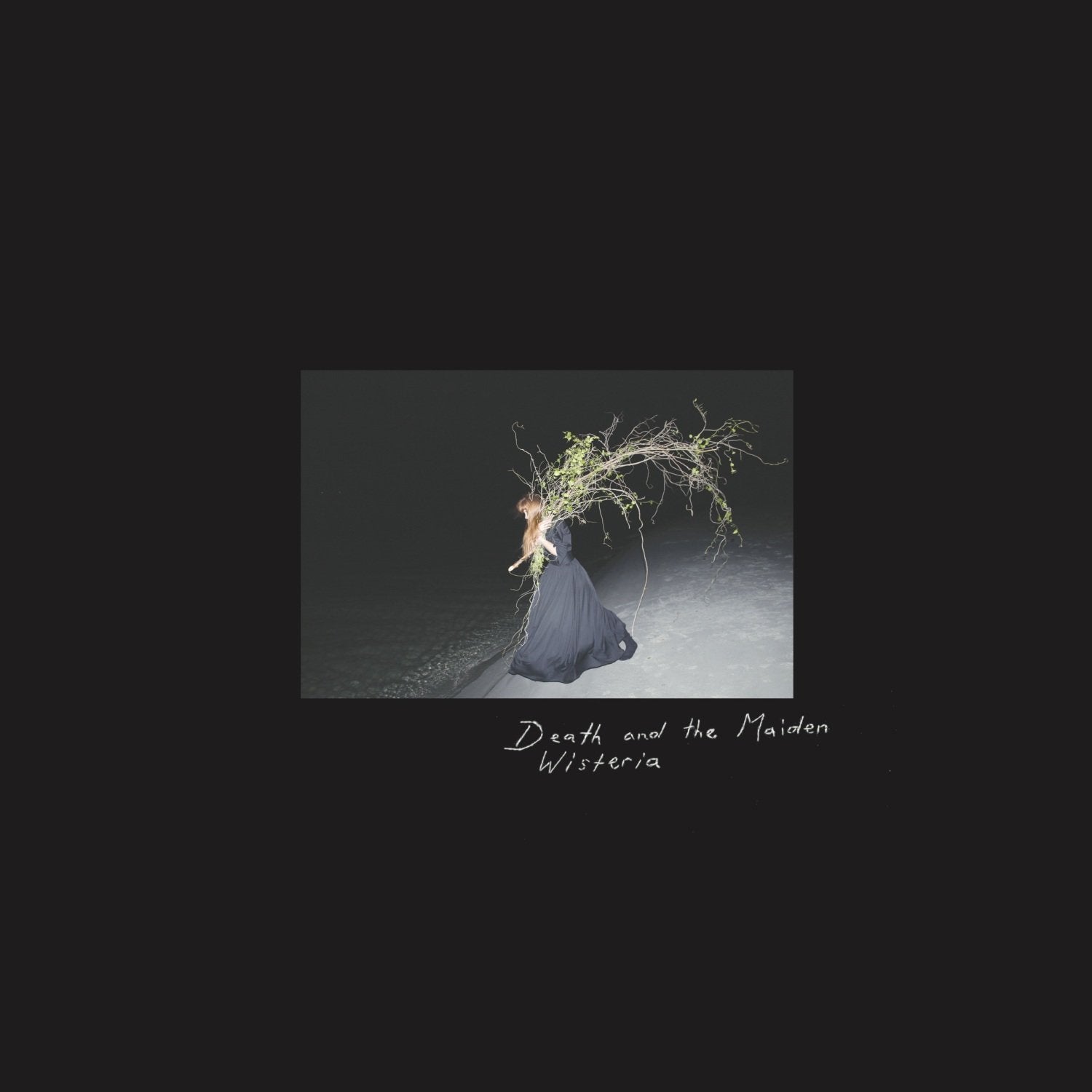 Wisteria cd