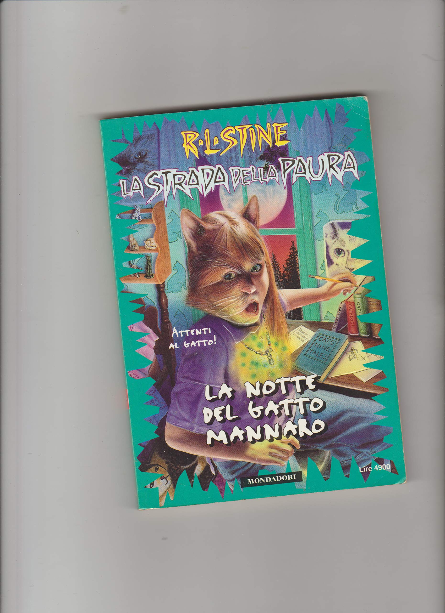 STRADA DELLA PAURA book