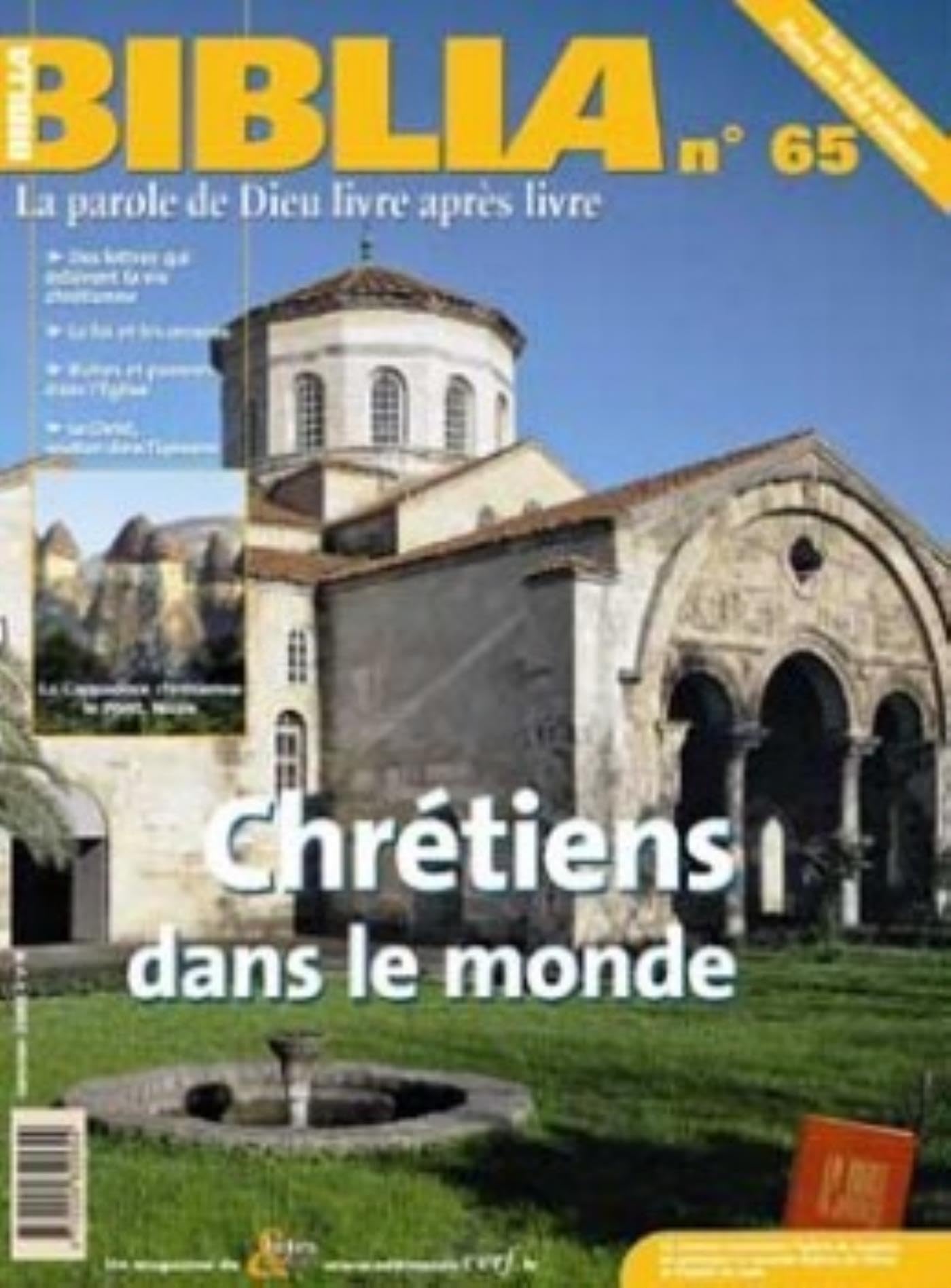 Biblia 65 - Chrétiens dans le monde Religion & Esotericism