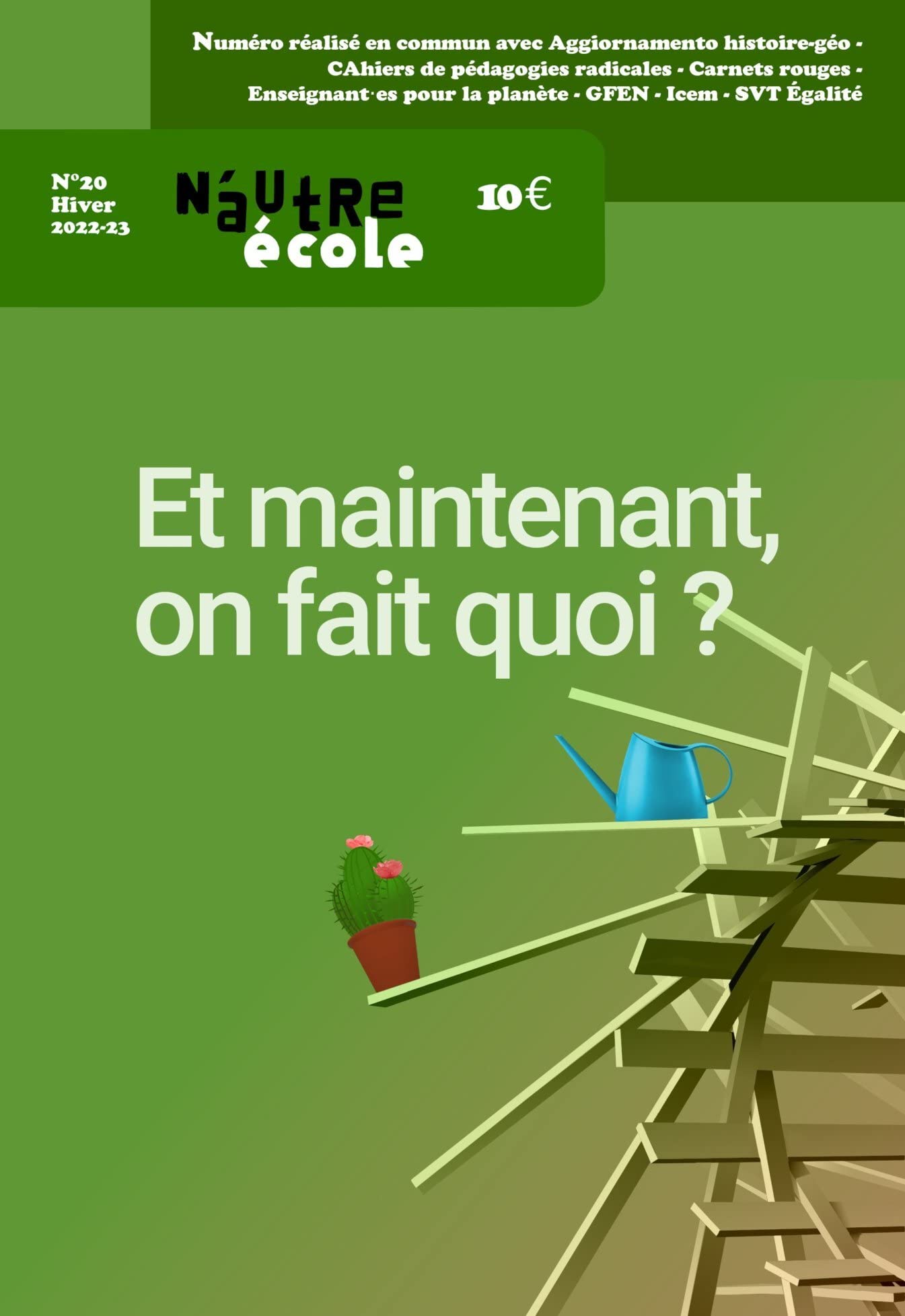 N'autre école N°20: Et maintenant, on fait quoi ? Books