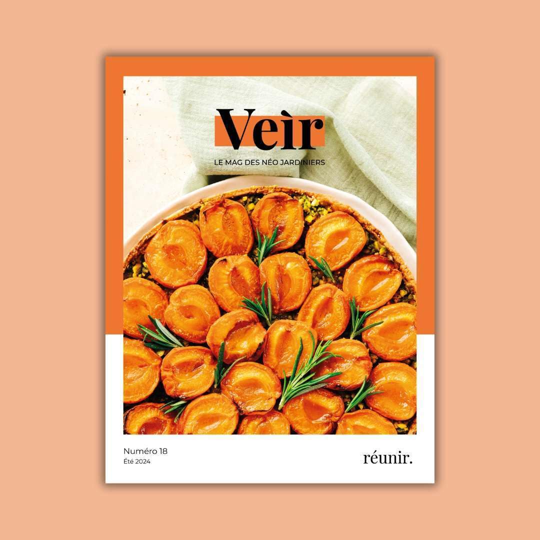 VEIR MAGAZINE- NUMERO 18 - RÉUNIR book