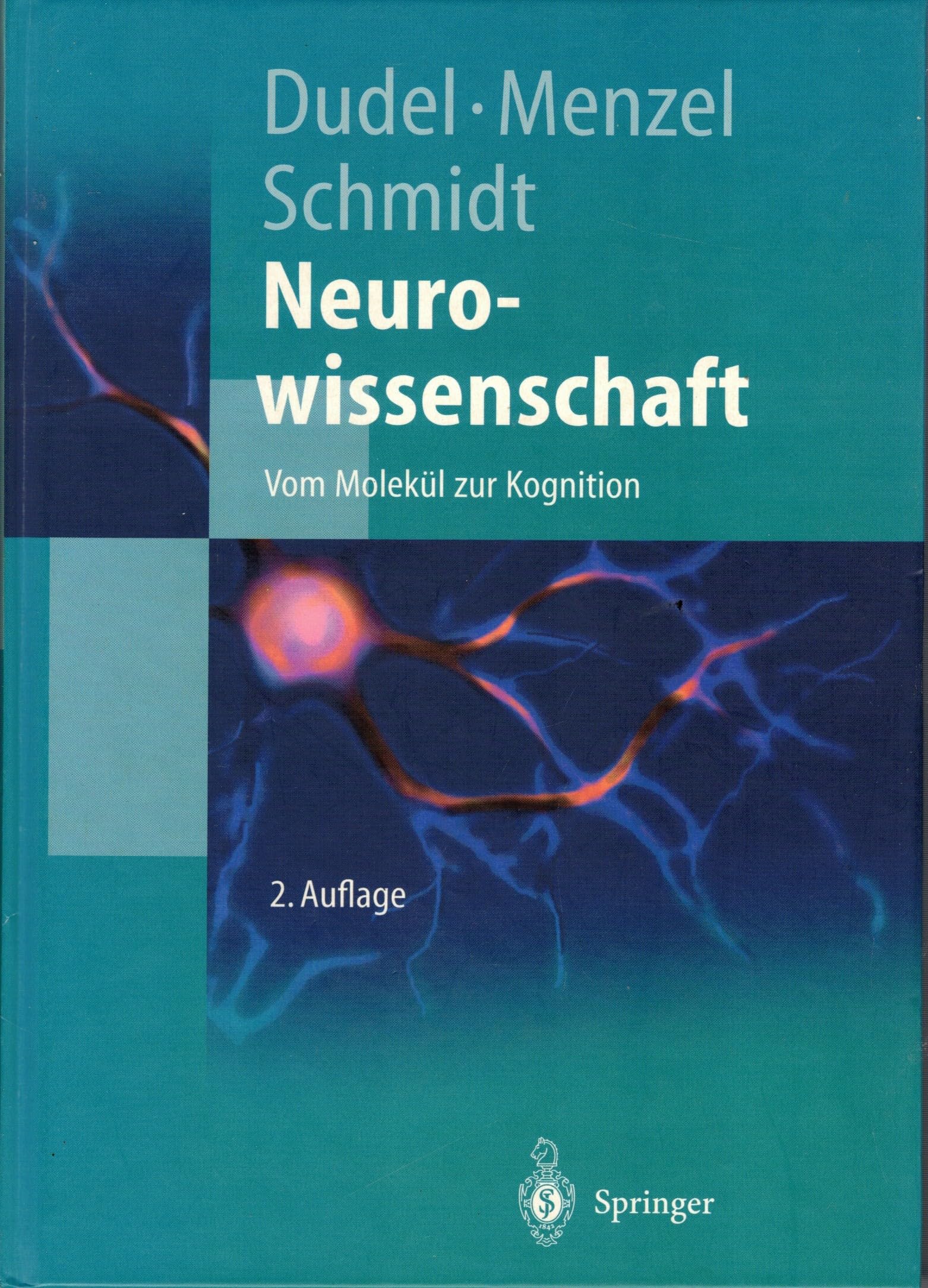 Neurowissenschaft: Vom Molekül zur Kognition (Springer-Lehrbuch) Medicine