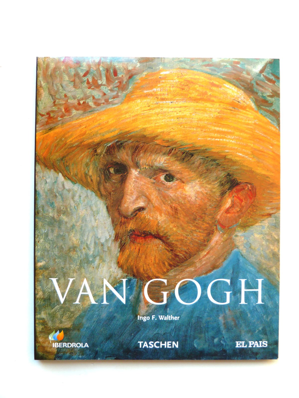 Vincent van Gogh 1853-1890: visión y realidad book