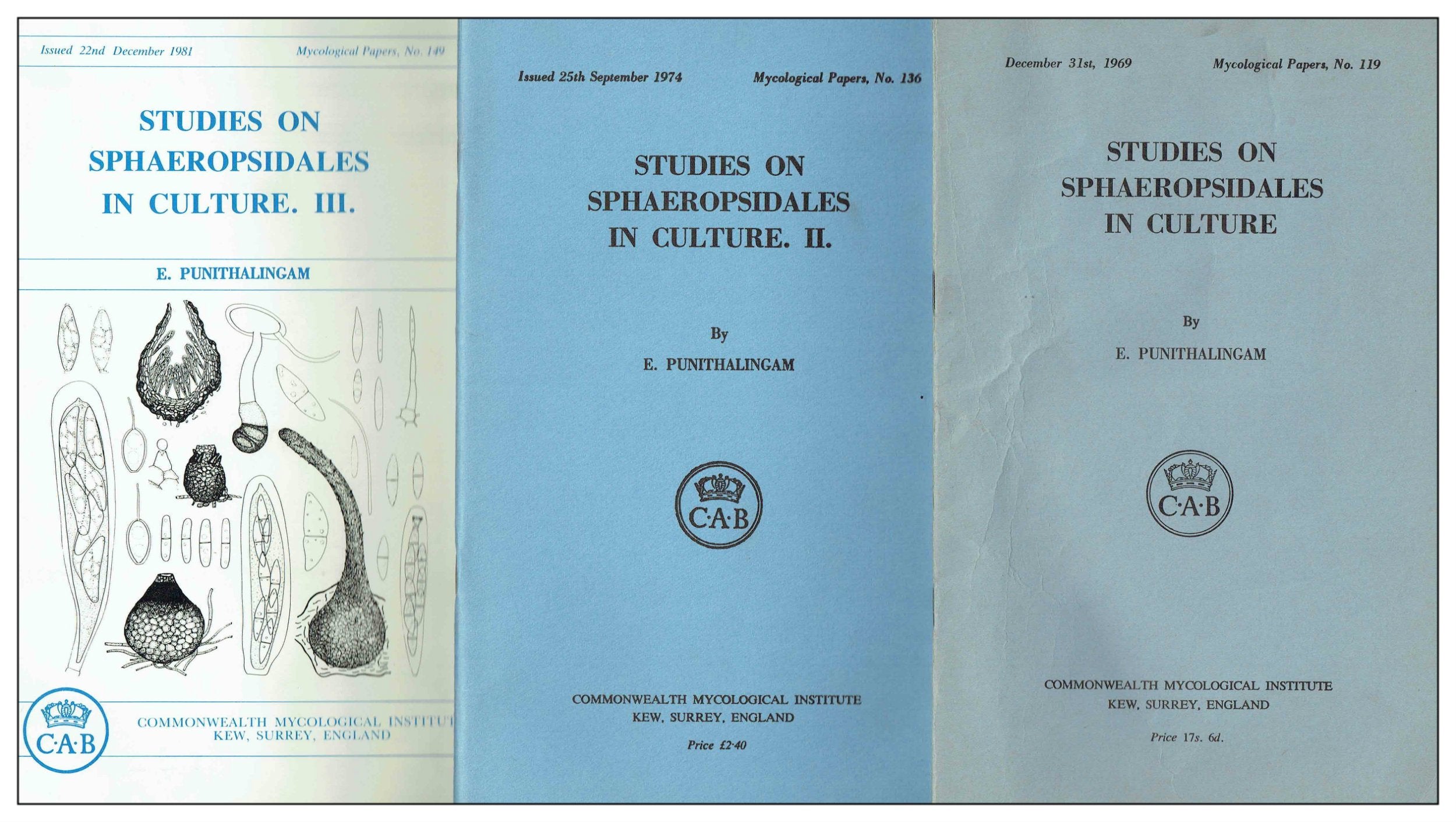 Studies on Sphaeropsidales in Culture: Mycological Paper 199, set XI Social Sciences
