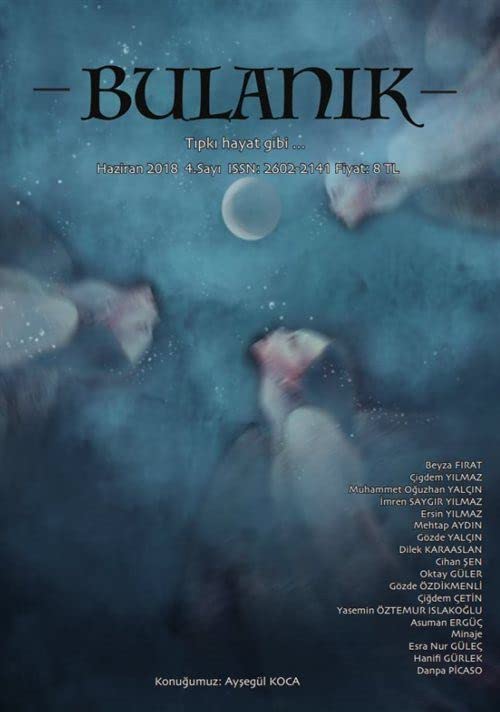 Bulanık Dergi Yıl:1 Sayı:4 Haziran 2018 book