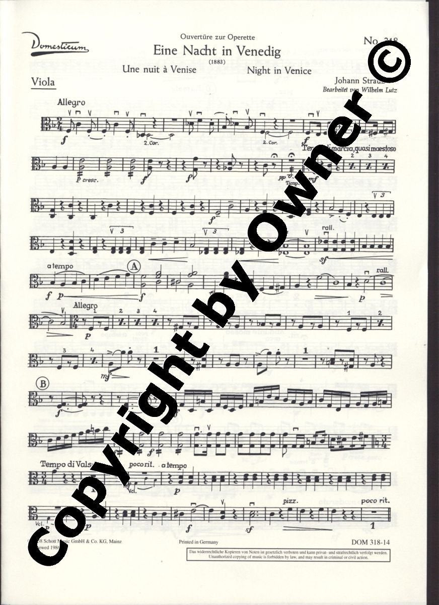 Eine Nacht in Venedig: Ouvertüre. Salonorchester. Viola. (Domesticum) Sheet Music