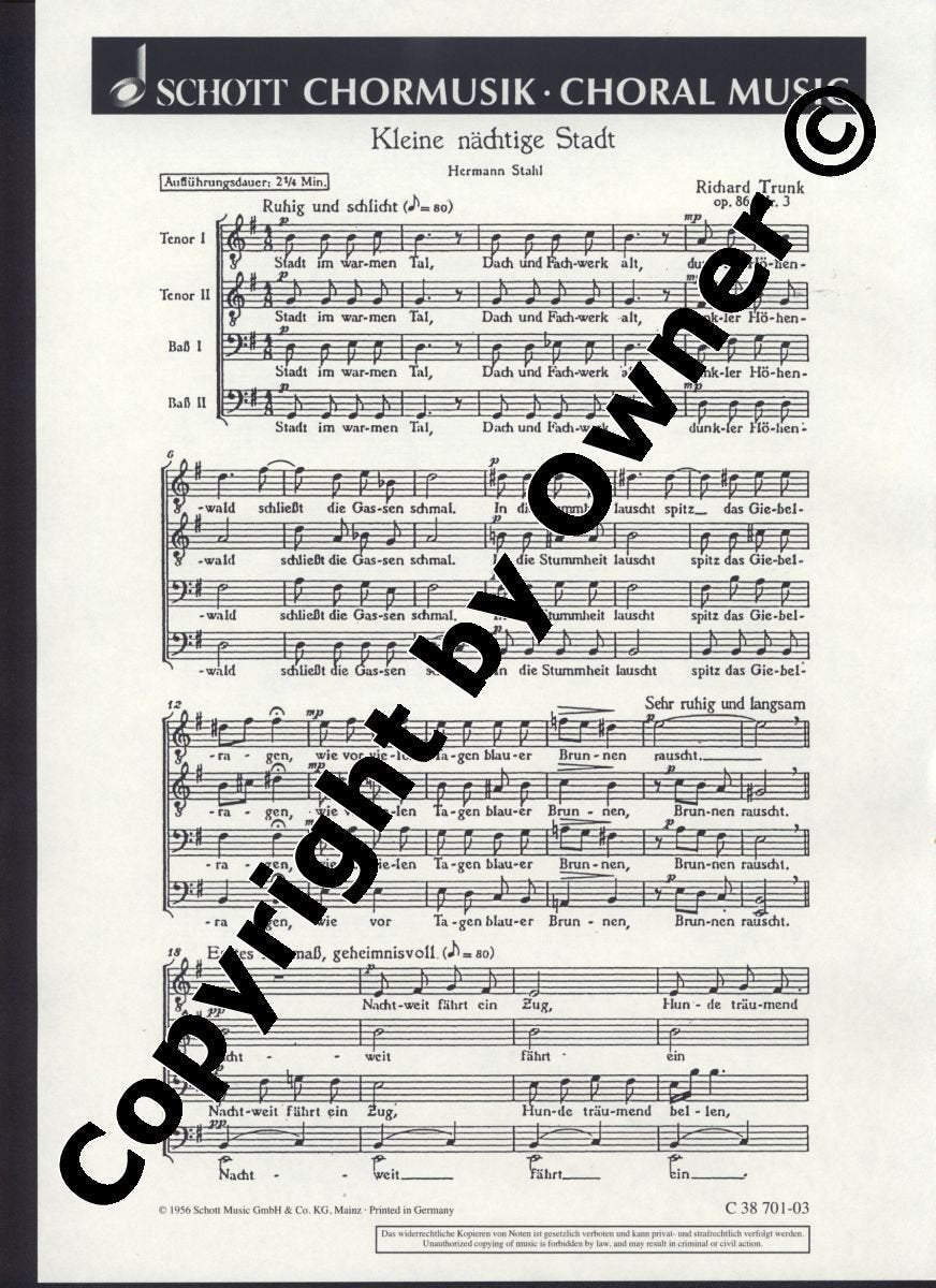 Kleine nachtige stadt op. 86/3 chant book