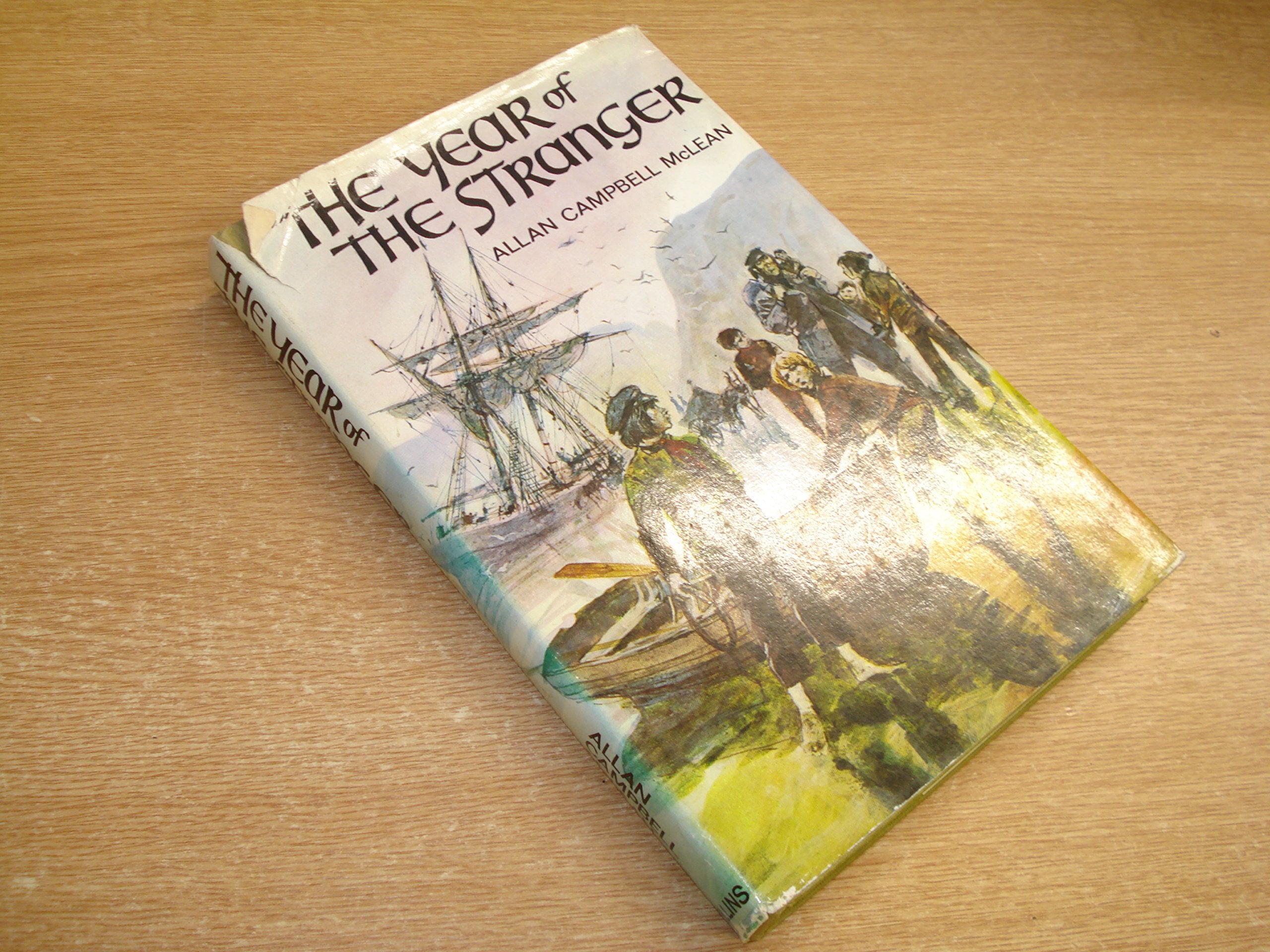 Year of the Stranger book