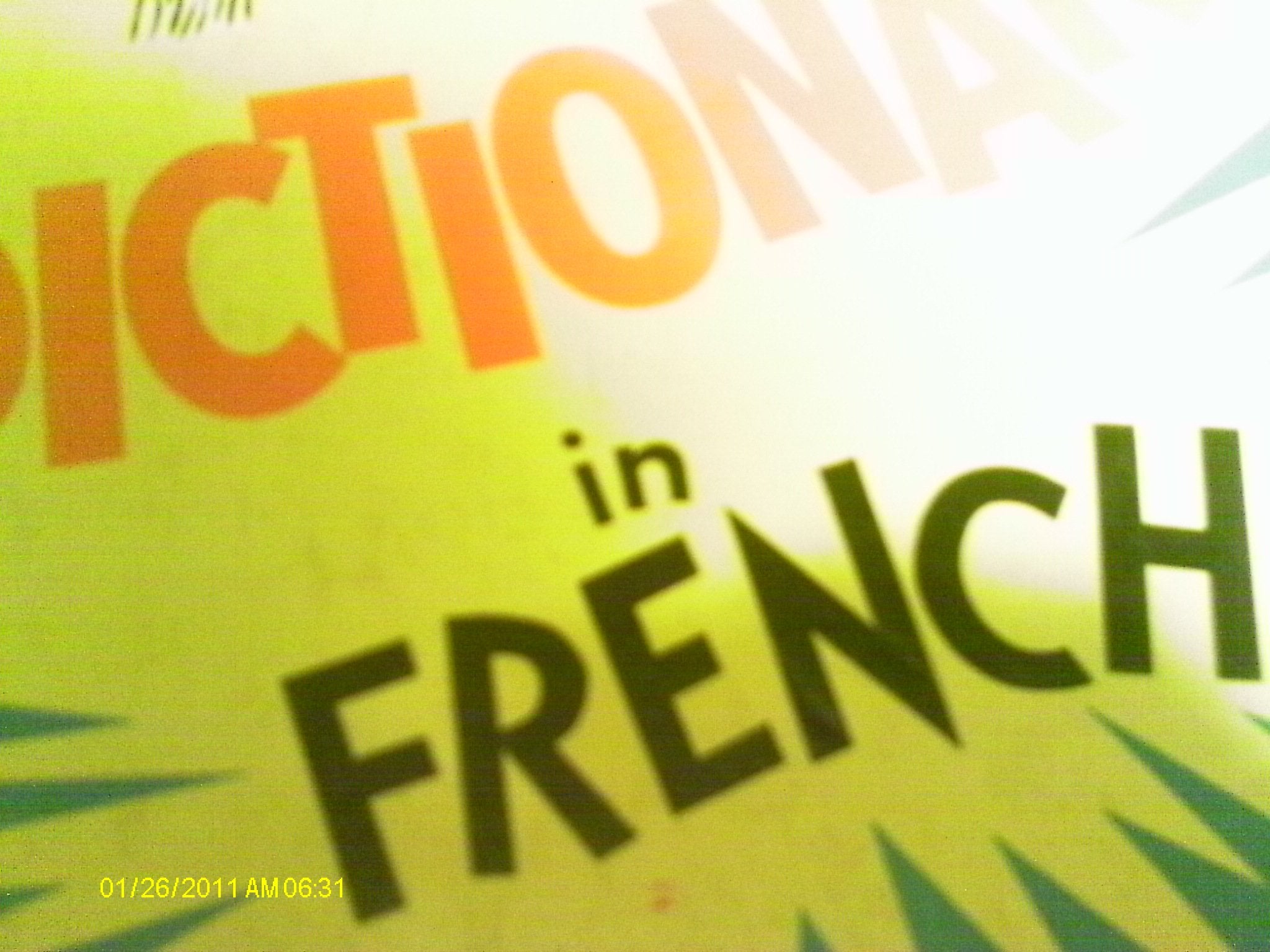 Dictionary in French: The Cat in the Hat (Beginner Series) Non-fiction