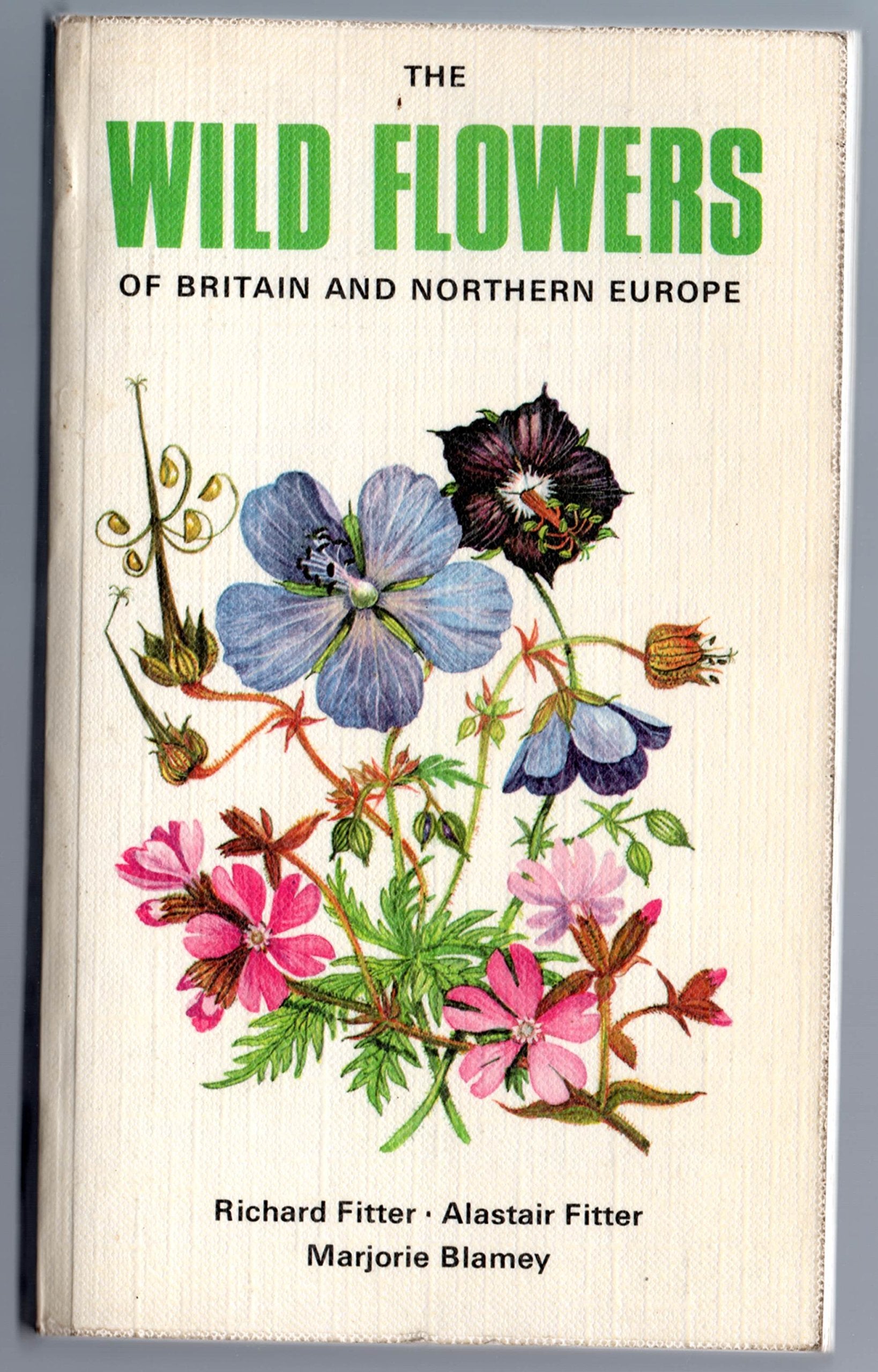 Wild Flowers of Britain and Northern Europe Mathematics