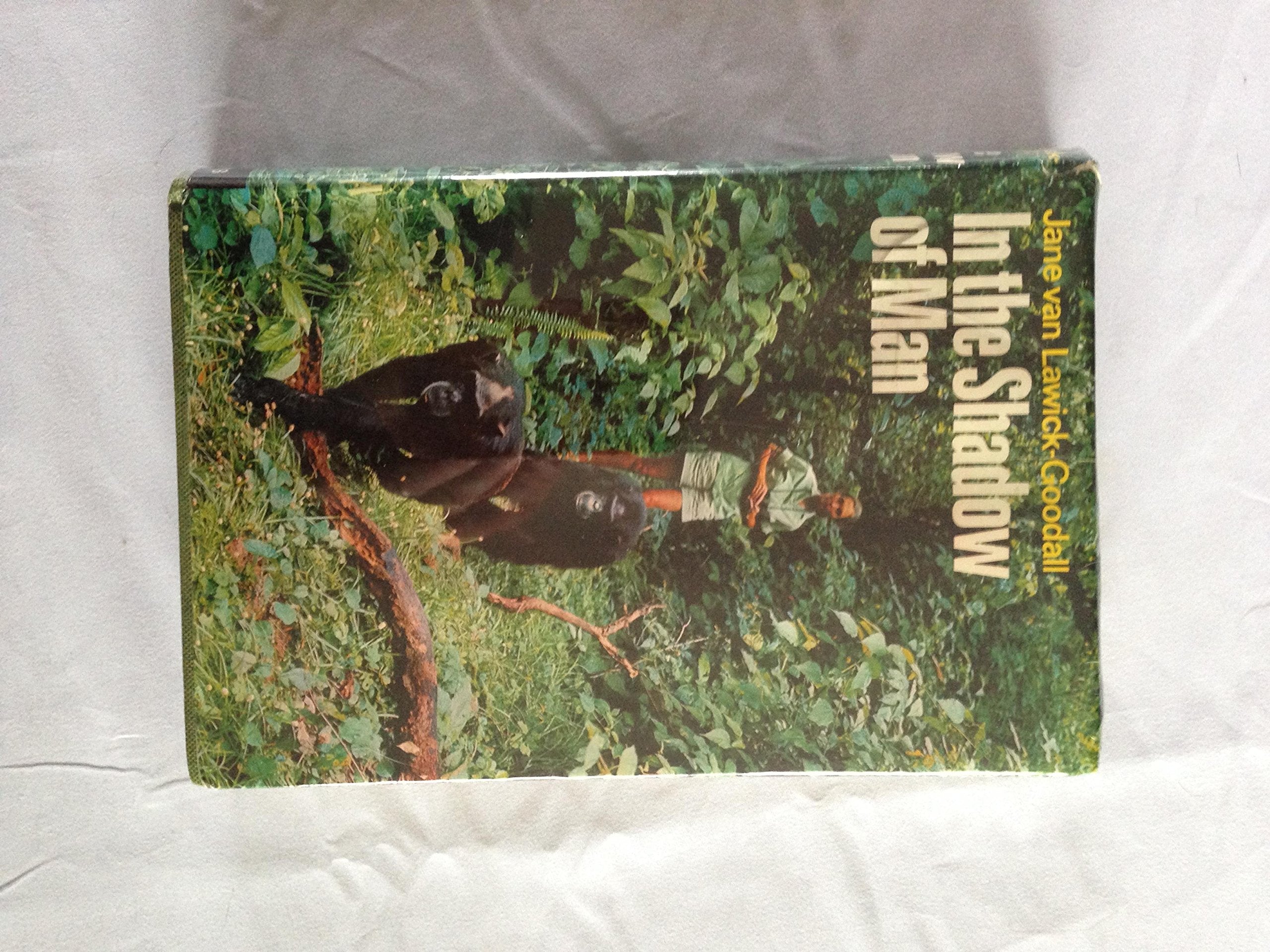 In the Shadow of Man book