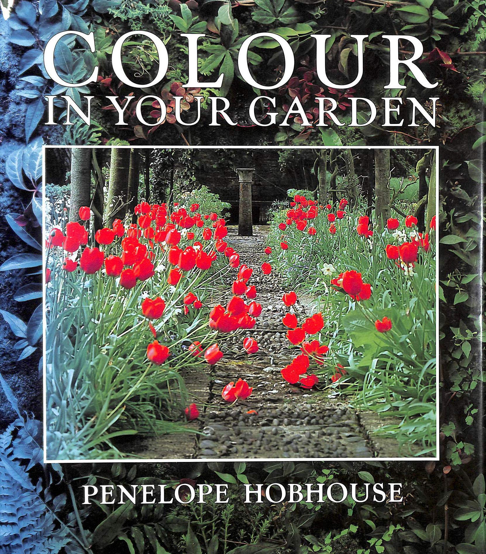 Colour in Your Garden Garden & Plants