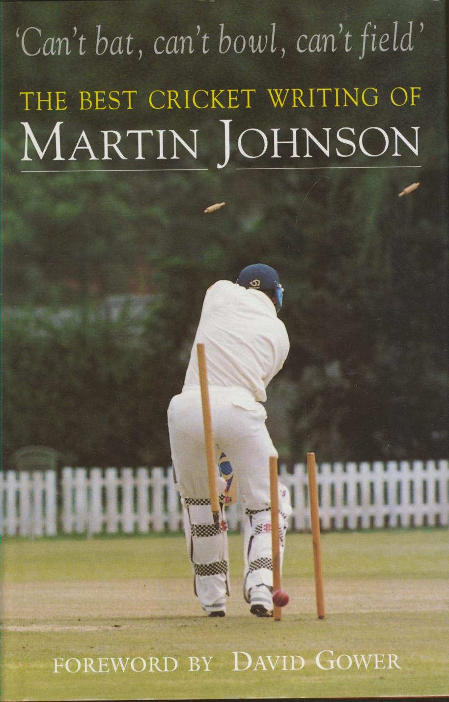Can't Bat, Can't Bowl, Can't Field Leisure & Fun