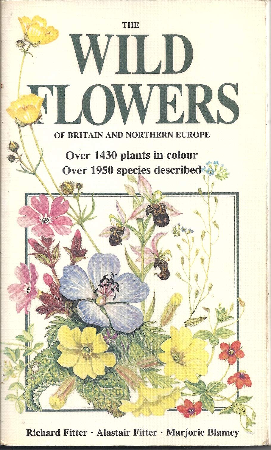 The Wild Flowers of Britain and Northern Europe Mathematics