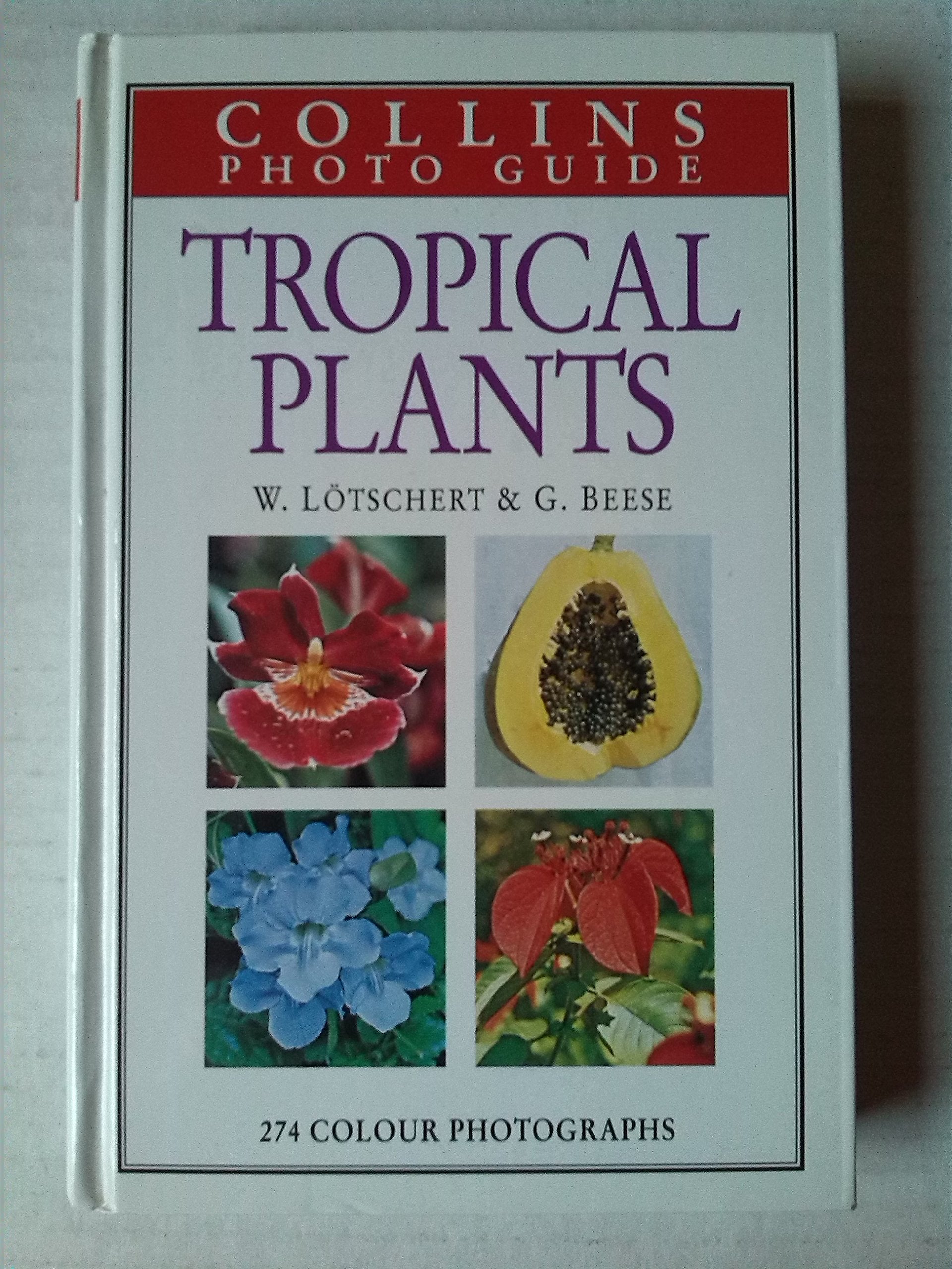 Collins Guide to Tropical Plants: A Descriptive Guide to 323 Ornamental and Economic Plants With 274 Colour Photographs (Collins Pocket Guide) Mathematics